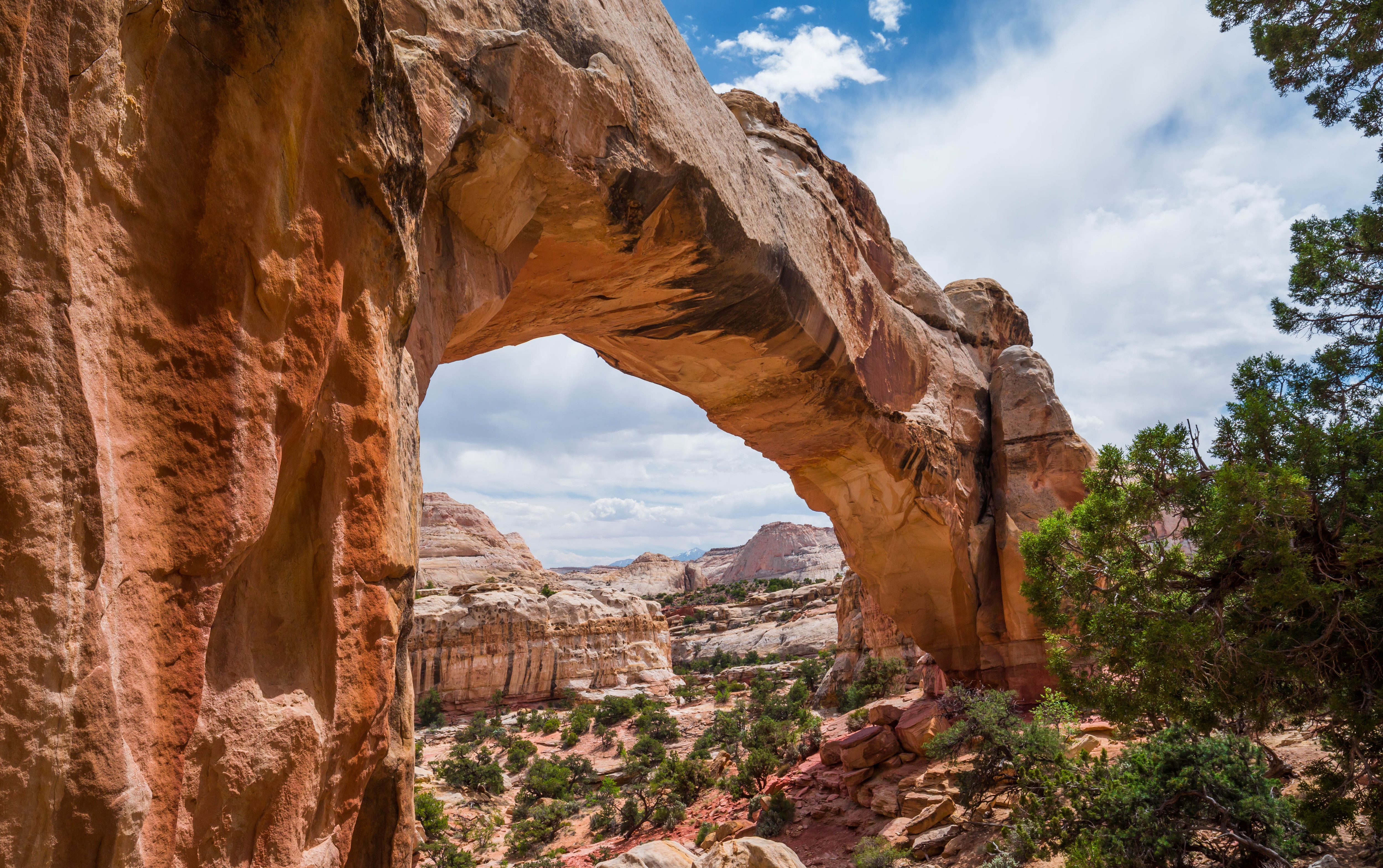 7 Crazy-Awesome Natural Arches & Bridges in Utah | Utah.com