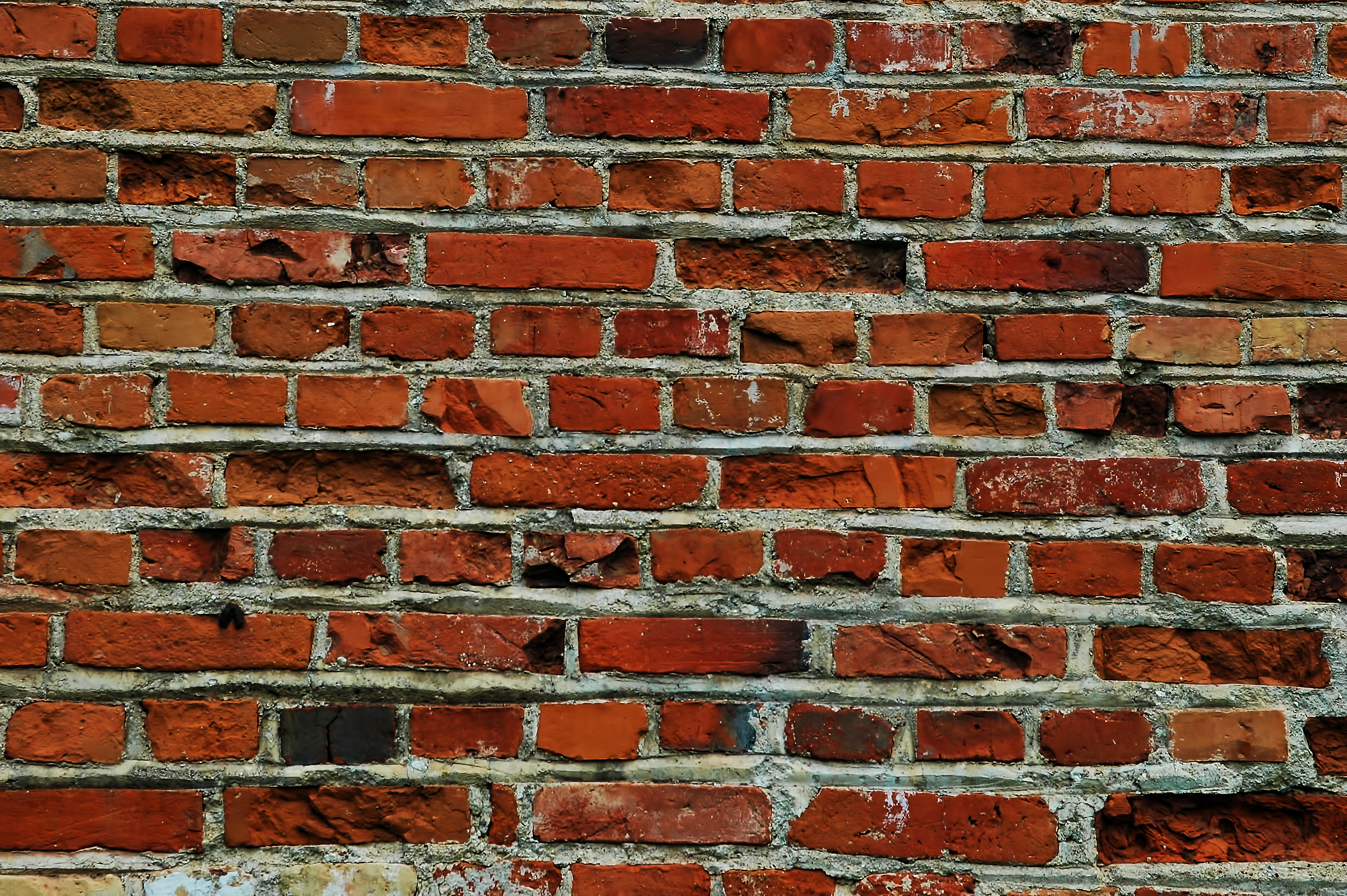 Natural brick wall, Brick, Bricks, Brickwall, House, HQ Photo