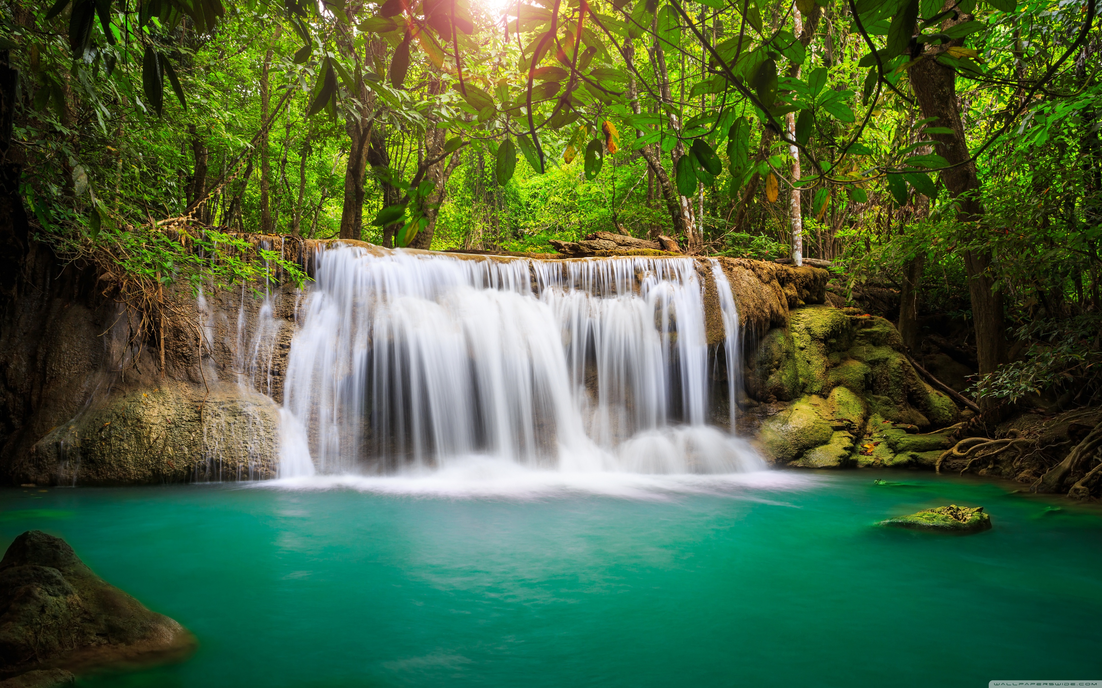 Rainforest Waterfall ❤ 4K HD Desktop Wallpaper for 4K Ultra HD TV ...