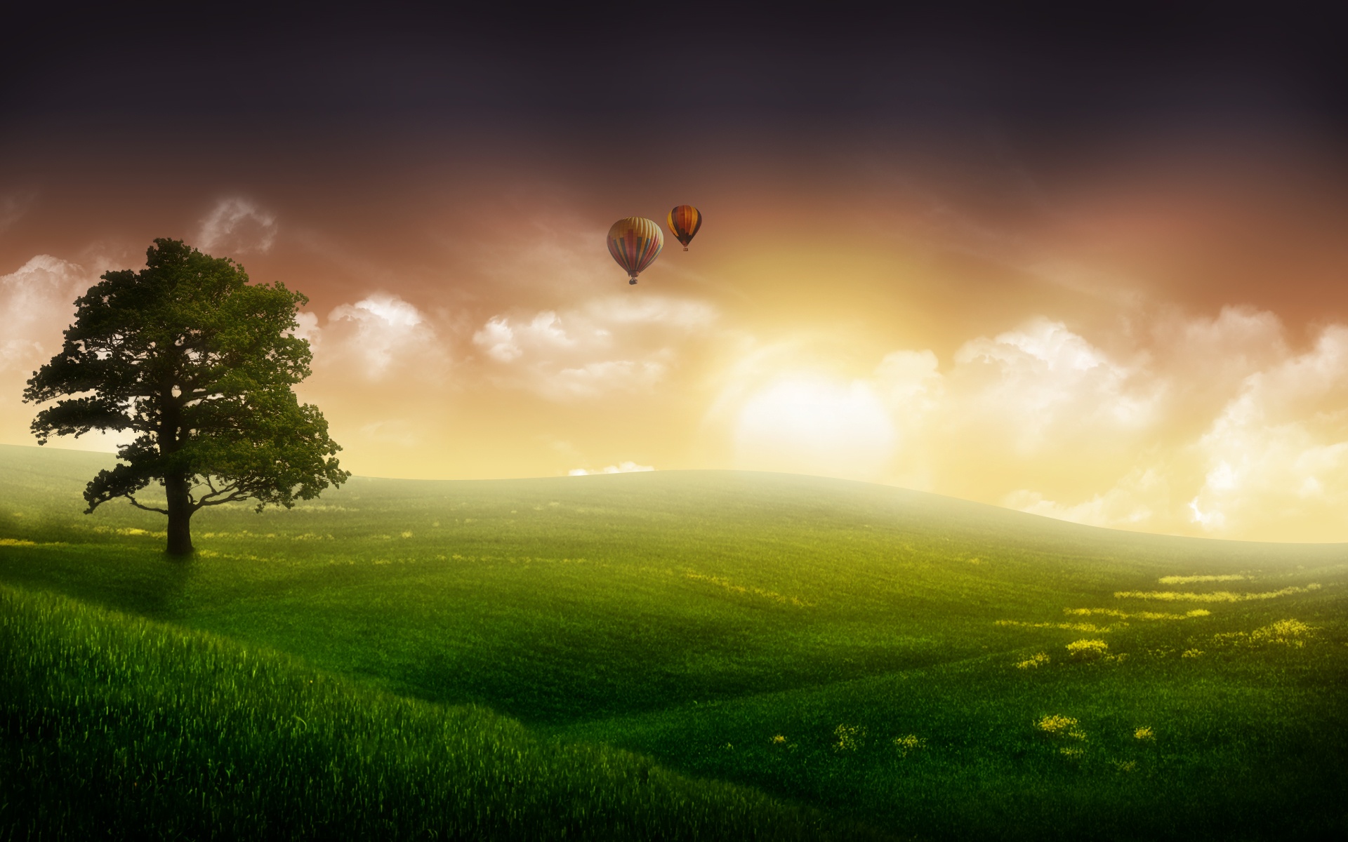 Nature Balloon Ride Wallpapers in jpg format for free download