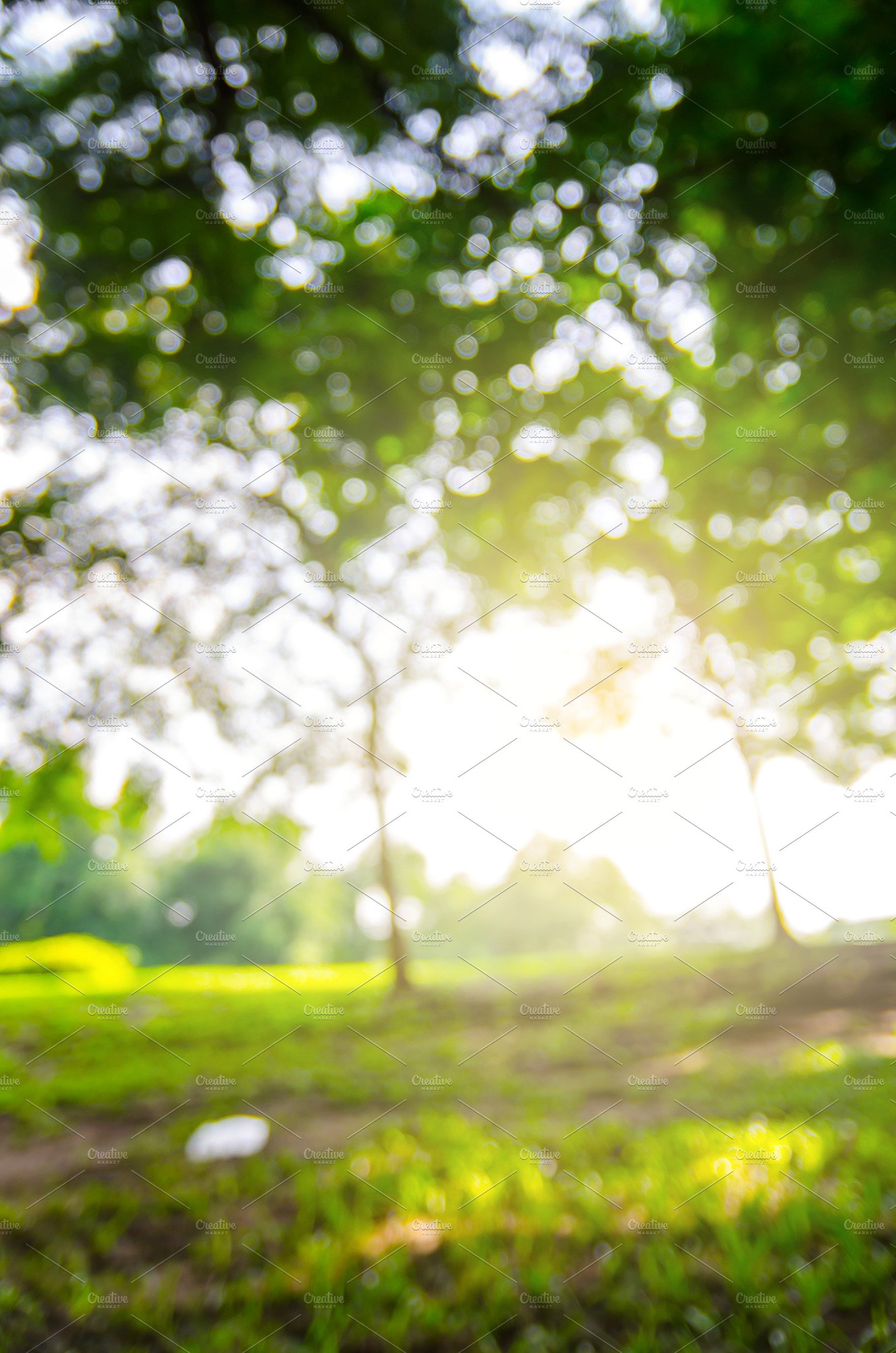 Free photo: Nature background - Green, Leaves, Light ...