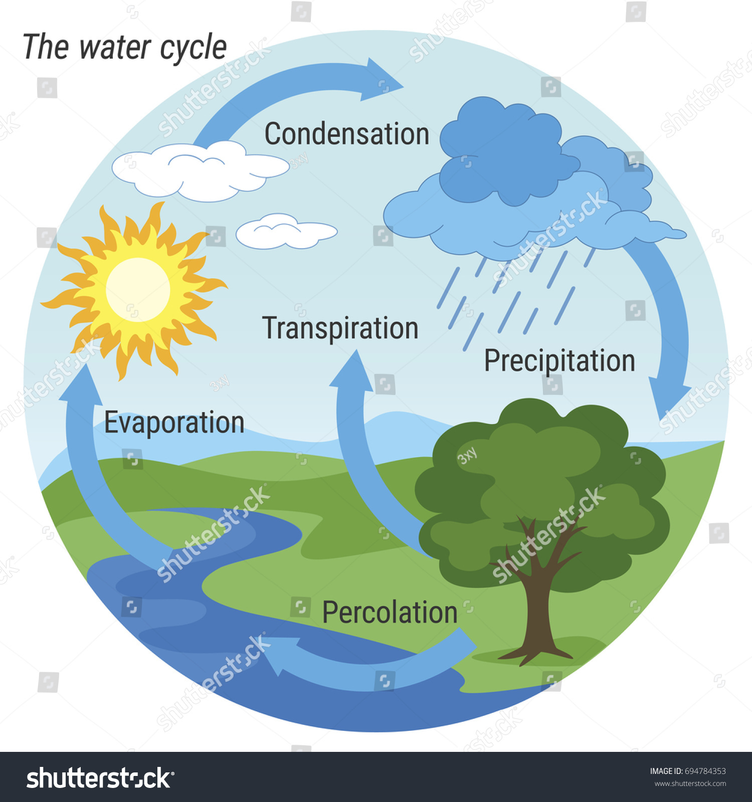 Vector Schematic Representation Water Cycle Nature Stock Vector ...