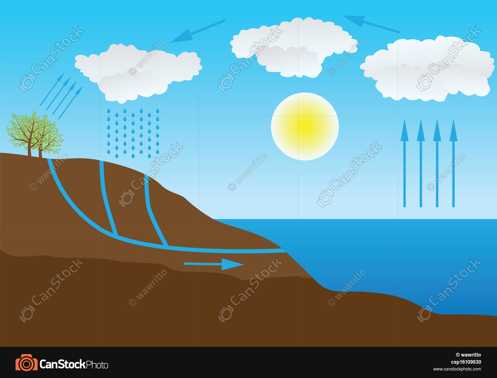 Vector schematic representation of the water cycle in nature vectors ...