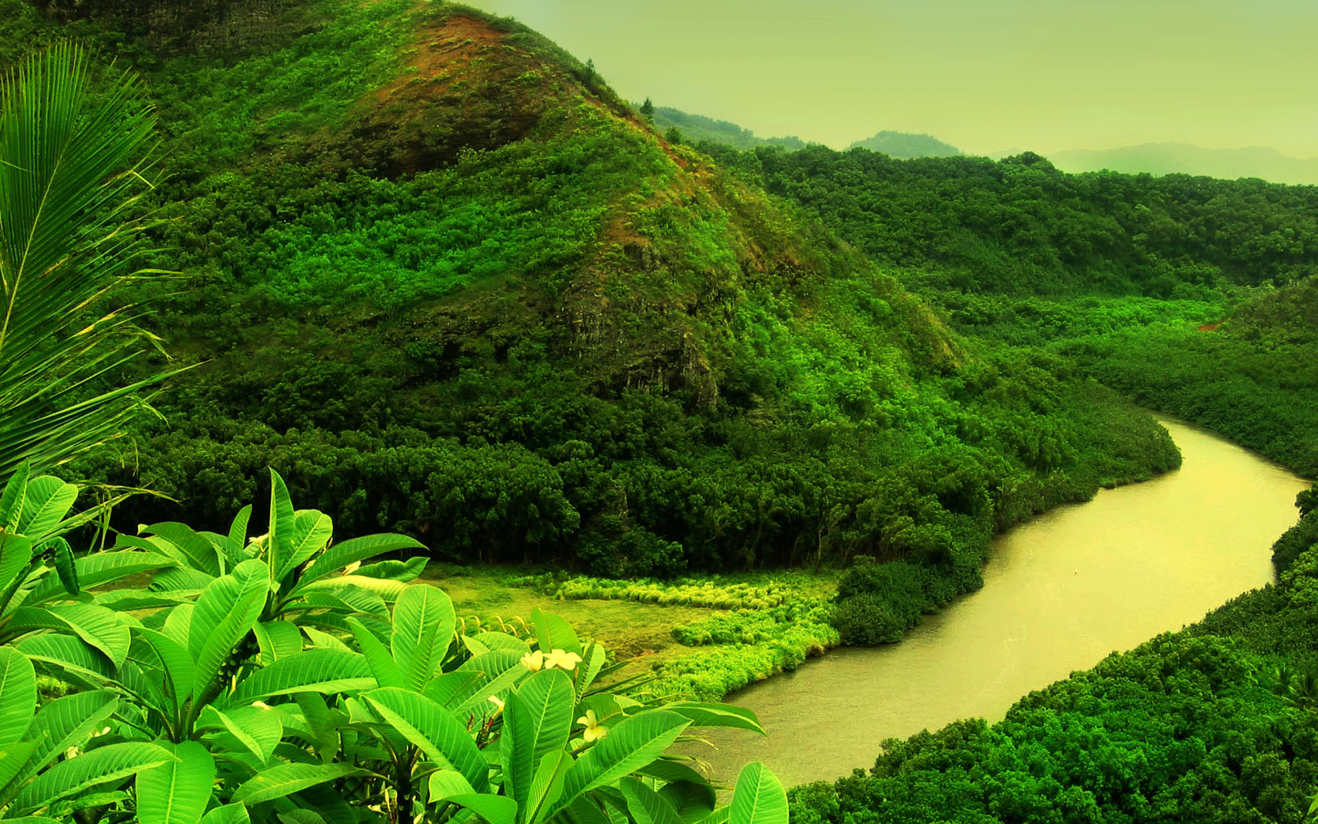 Green Nature Background #6984222