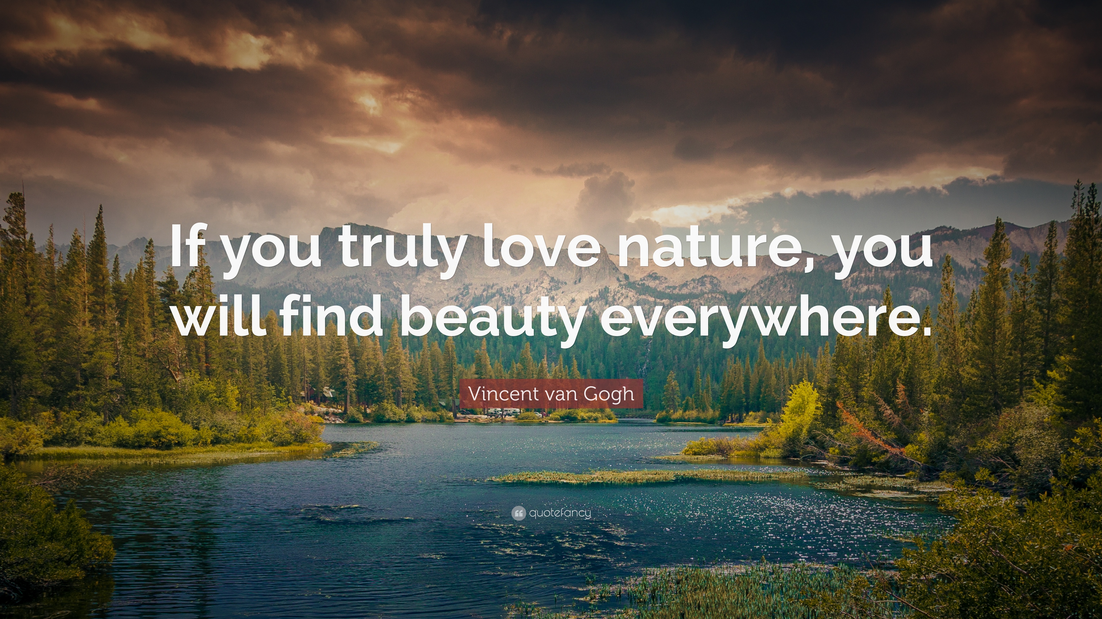 Vincent van Gogh Quote: “If you truly love nature, you will find ...