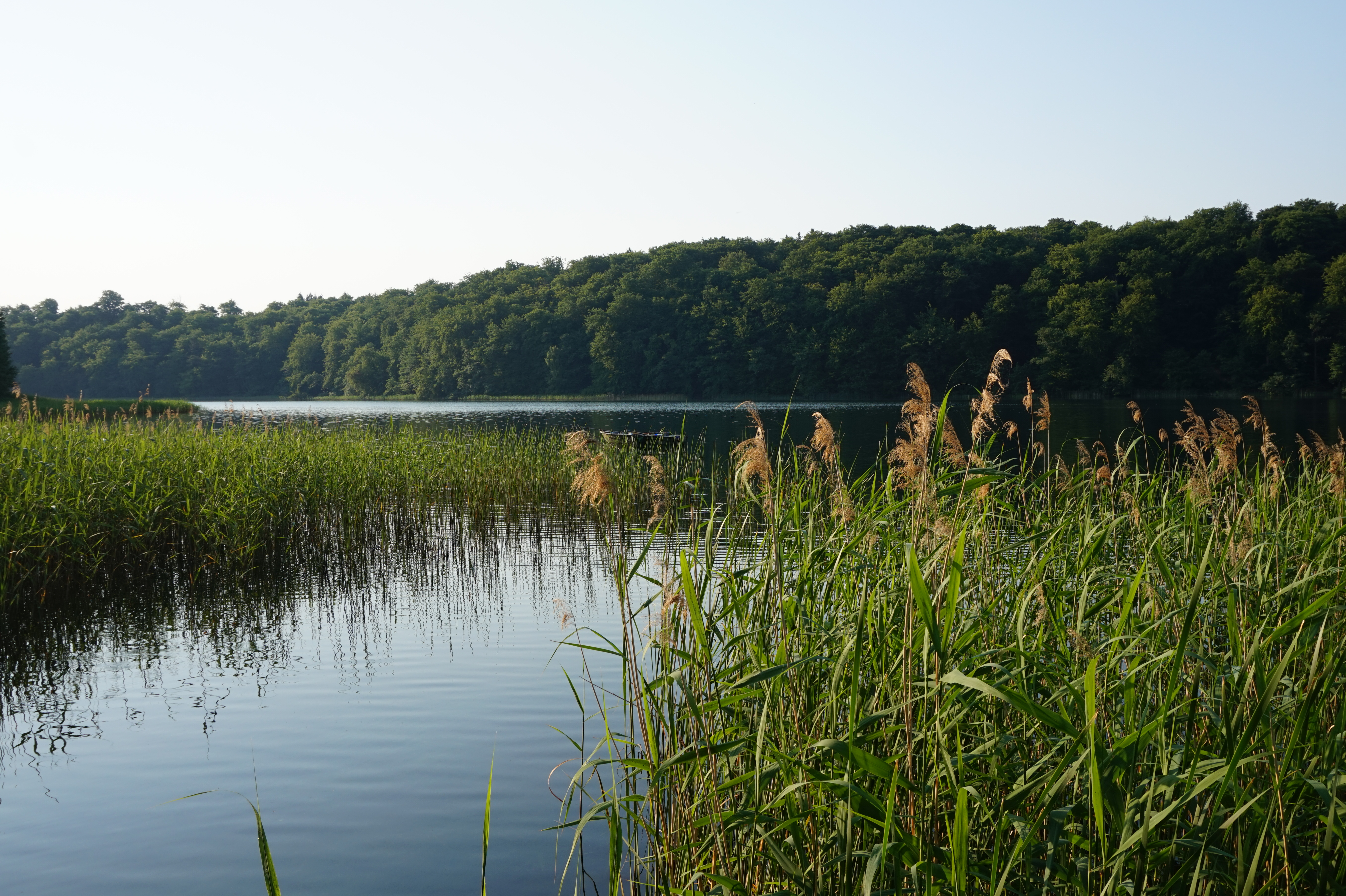 Top Five Best Lakes in Berlin and Brandenburg | Apenoni.com
