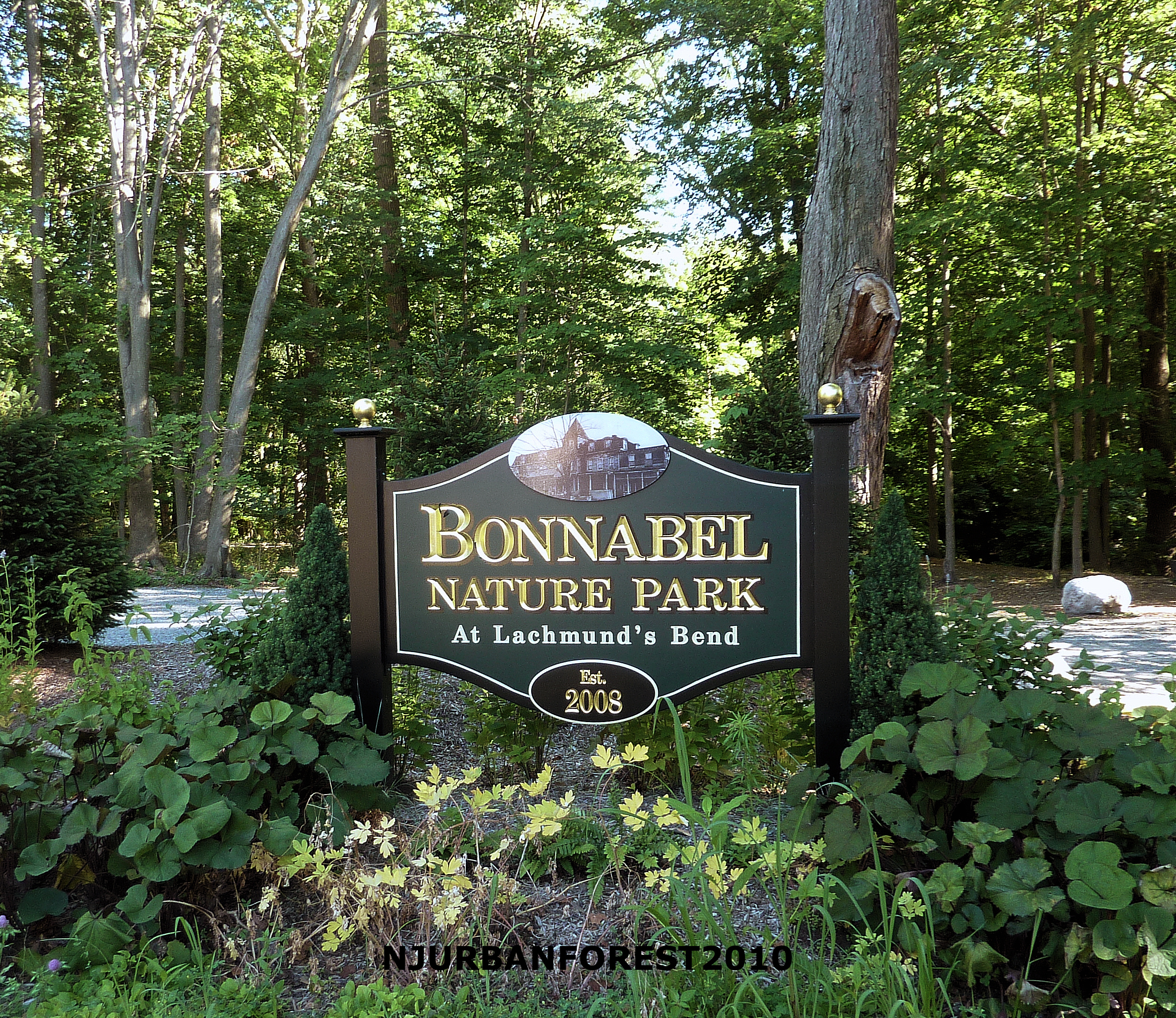 Bonnabel Nature Park at Lachmund's Bend! | NJUrbanForest.com