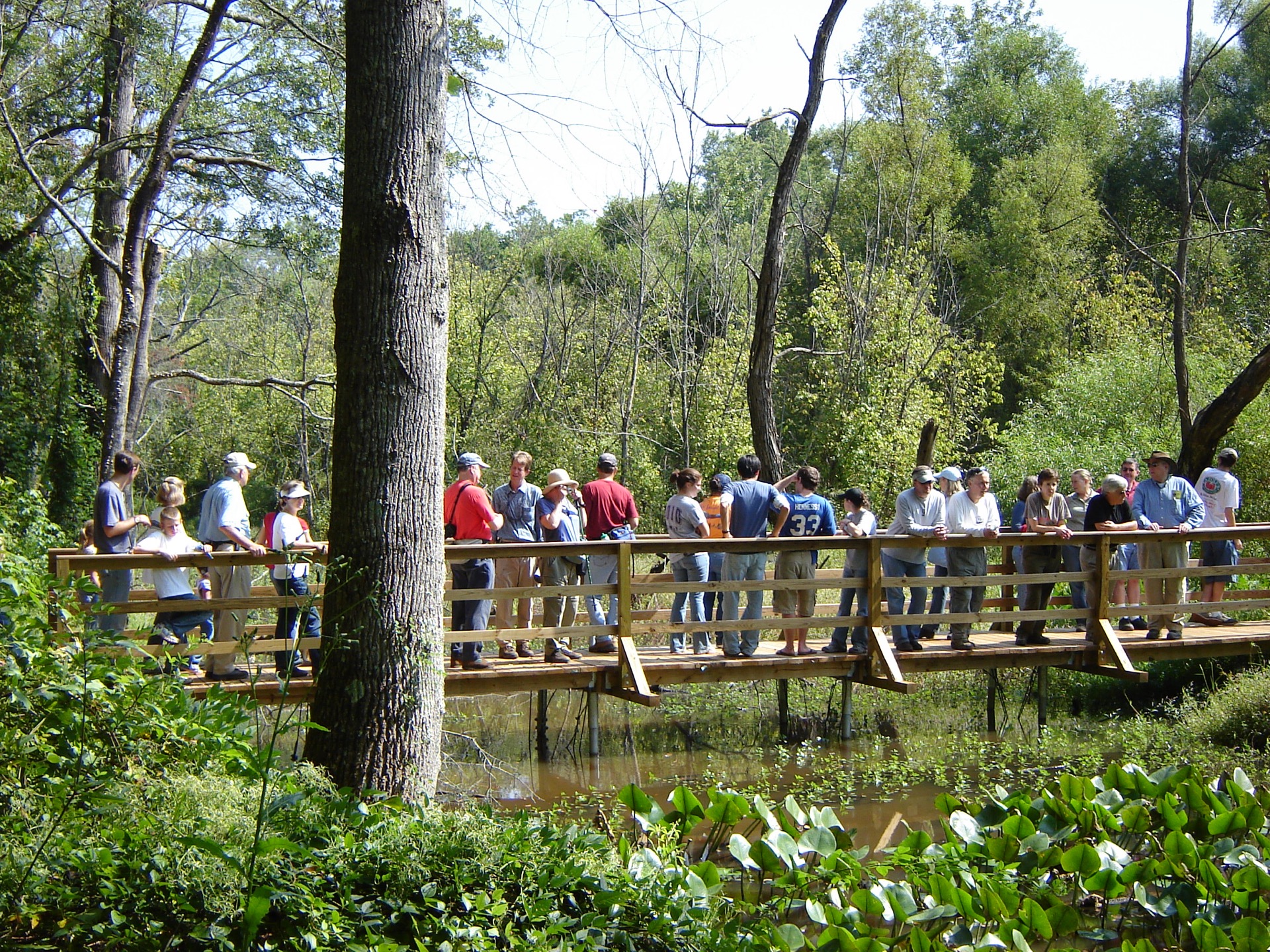 Lake Conestee Nature Park | Greenville County Parks Recreation & Tourism