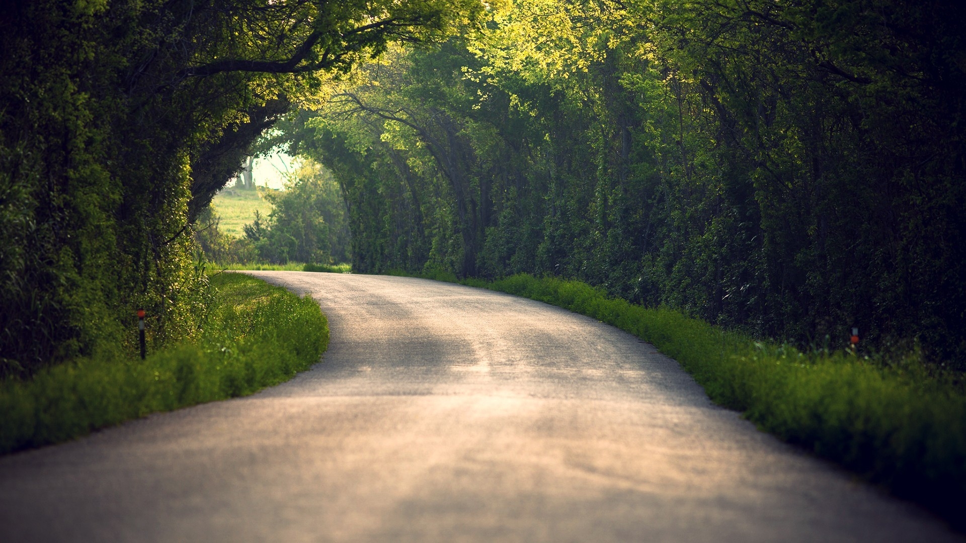 Download Wallpaper 1920x1080 summer, nature, road, leaves, trees ...
