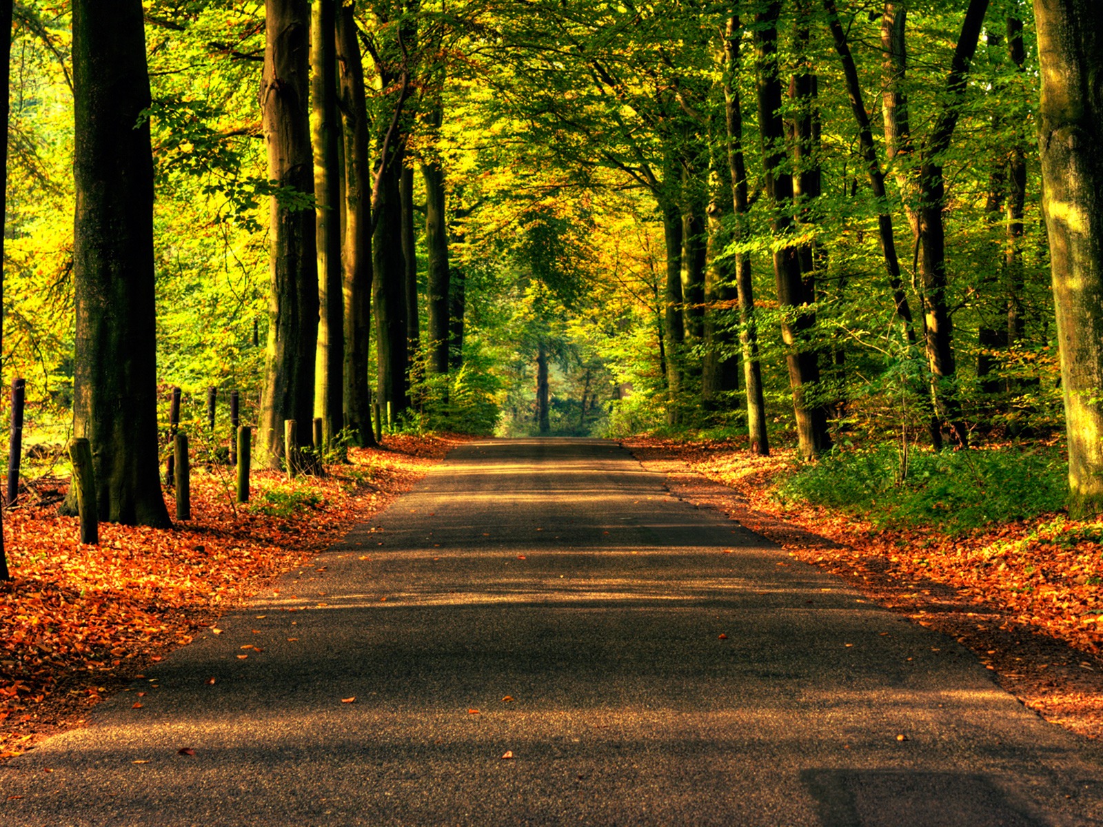 Road to Autumn Wallpaper Autumn Nature Wallpapers in jpg format for ...