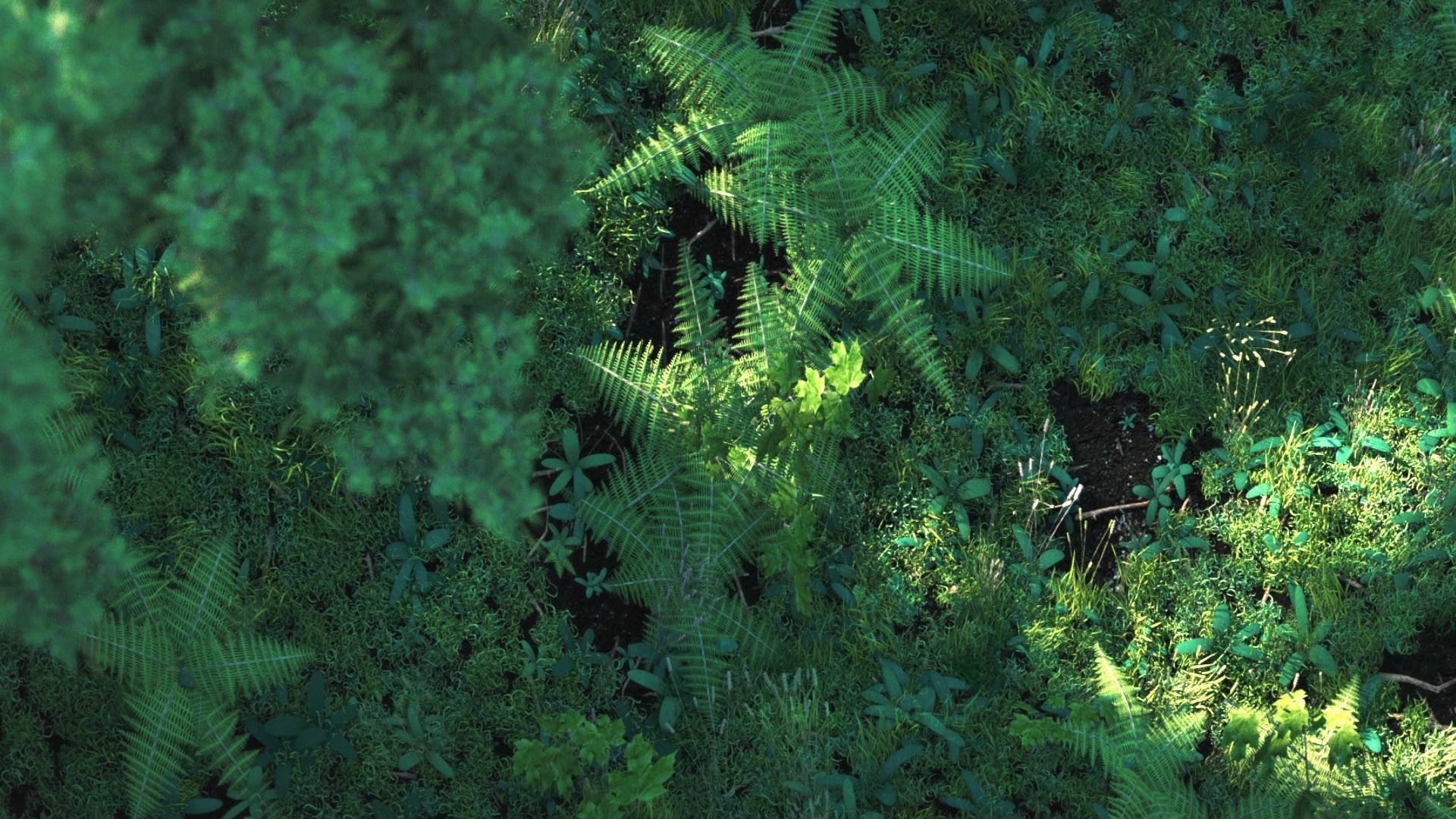 3D Forest Nature Scene | CGTrader