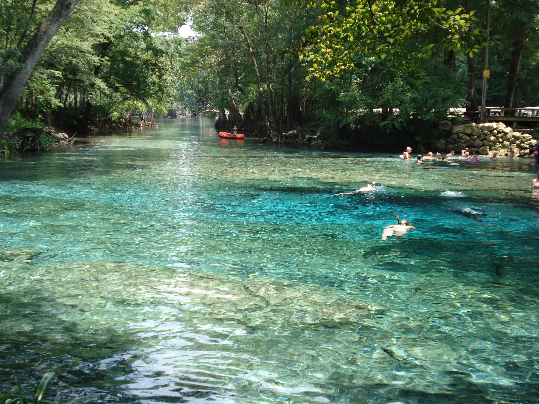 Top 5 Natural Springs Near Gainesville | 2 College Brothers Moving ...