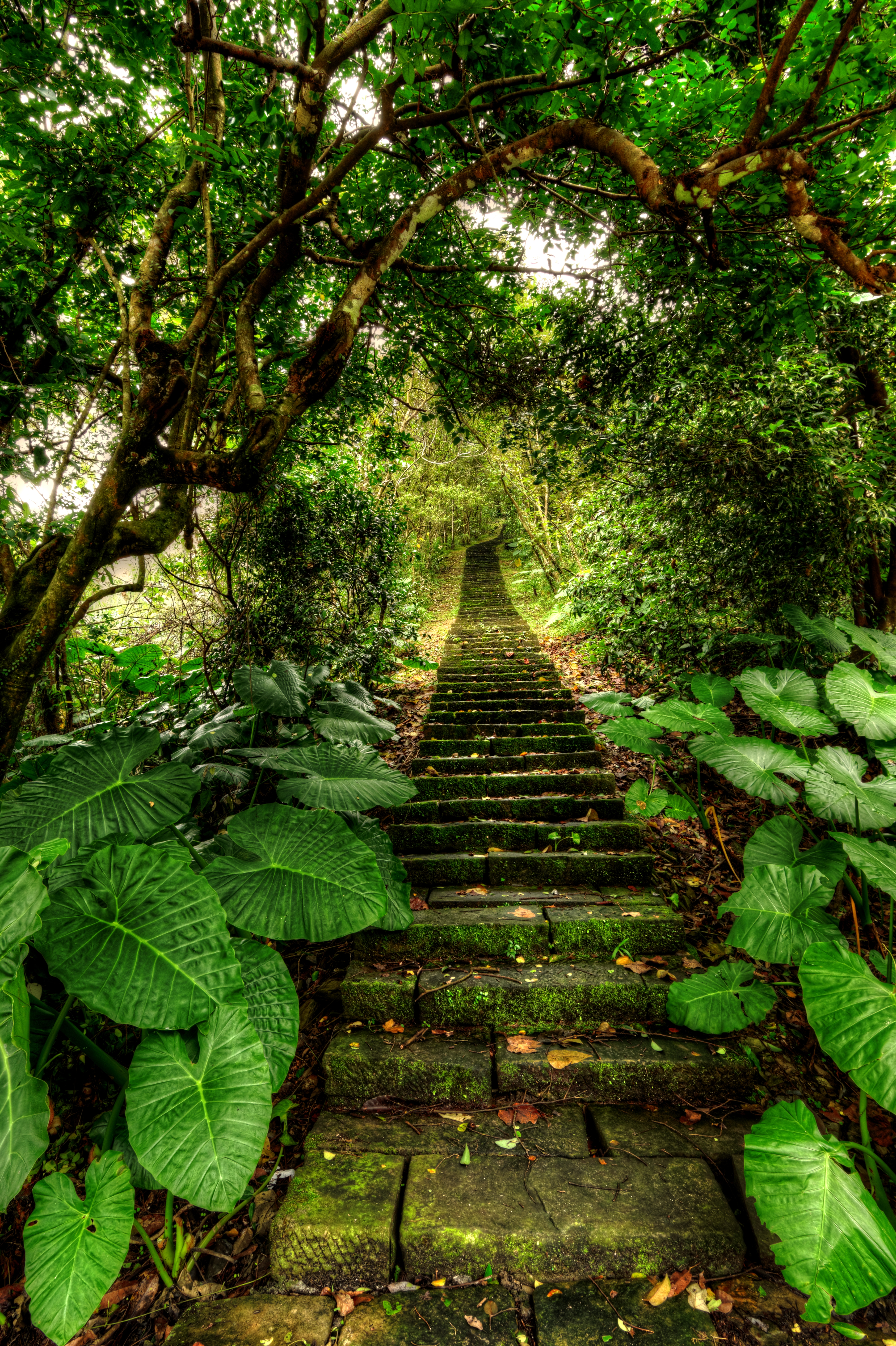 Taiwan: A Picture a Day – 3rd of January: Ren Shan Botanical Garden ...