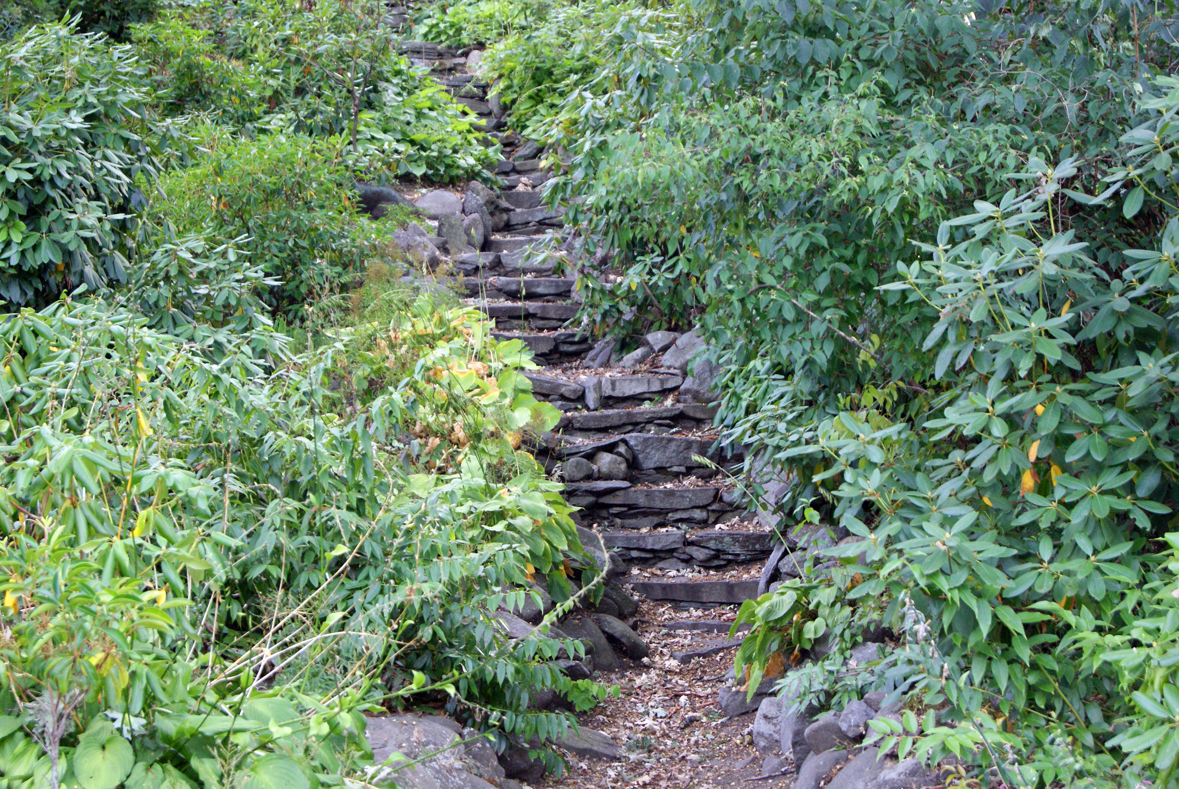 Natures Stairway