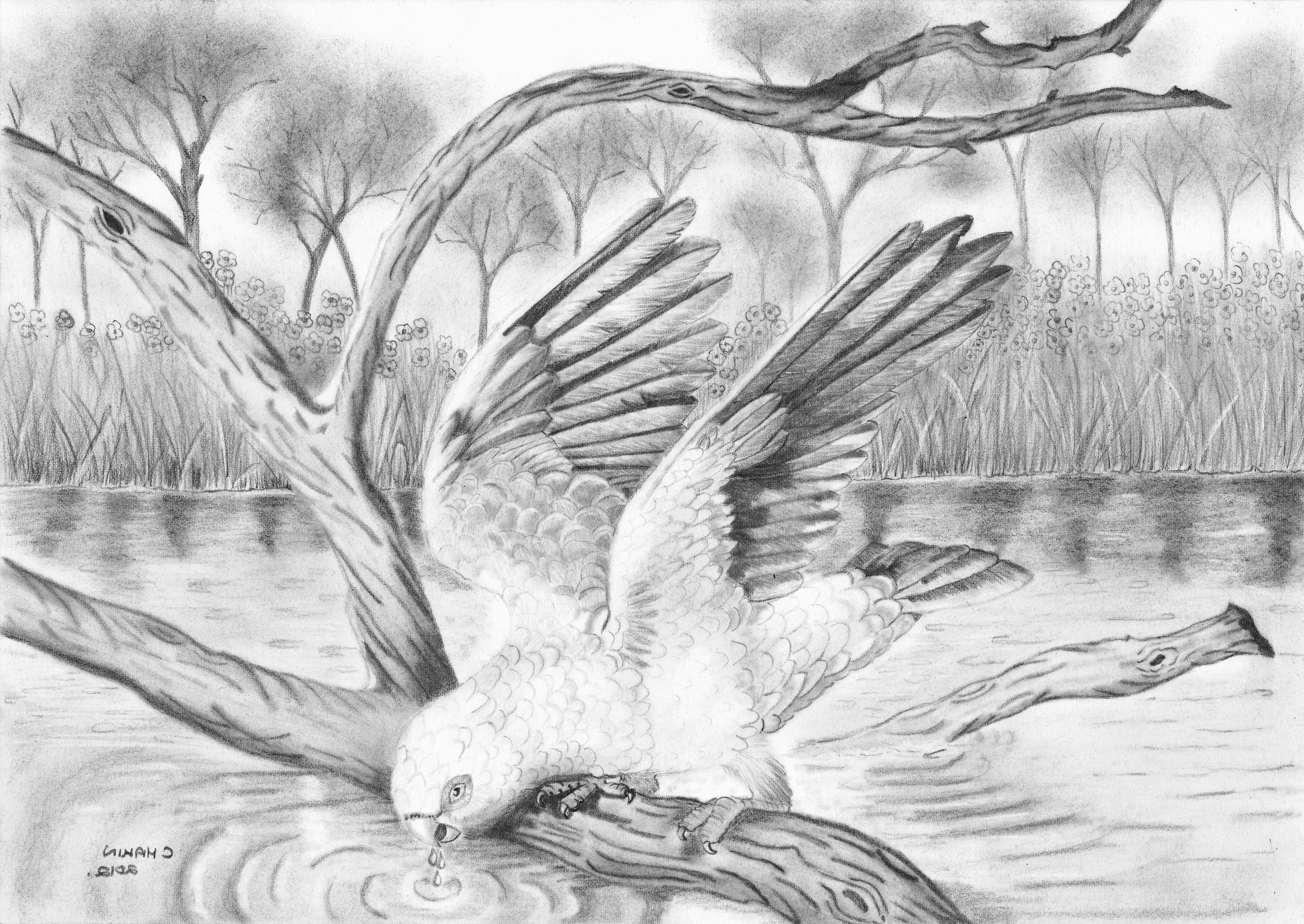 Awesome Sketch With Experience Of Natures Awesome Sketches Of Pencil ...