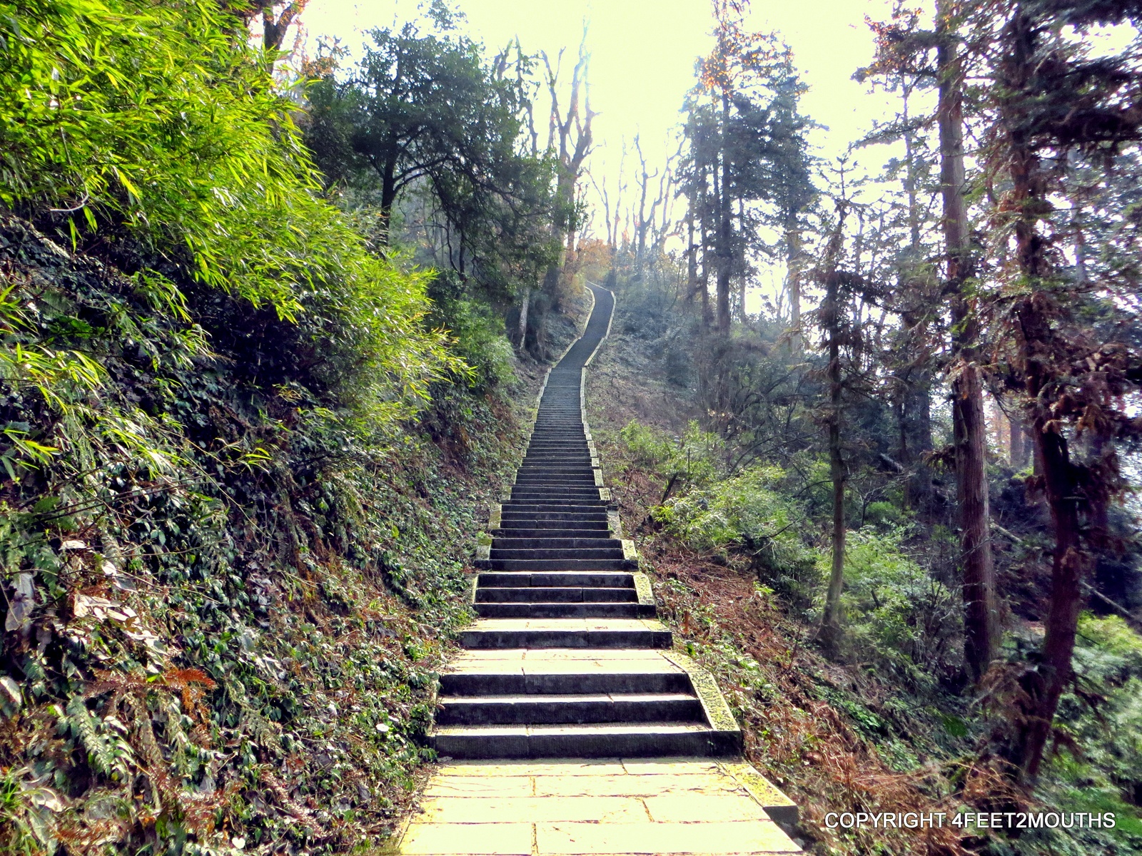 Stairway to Heaven in Emeishan (by Carmen) | 4 feet 2 mouths