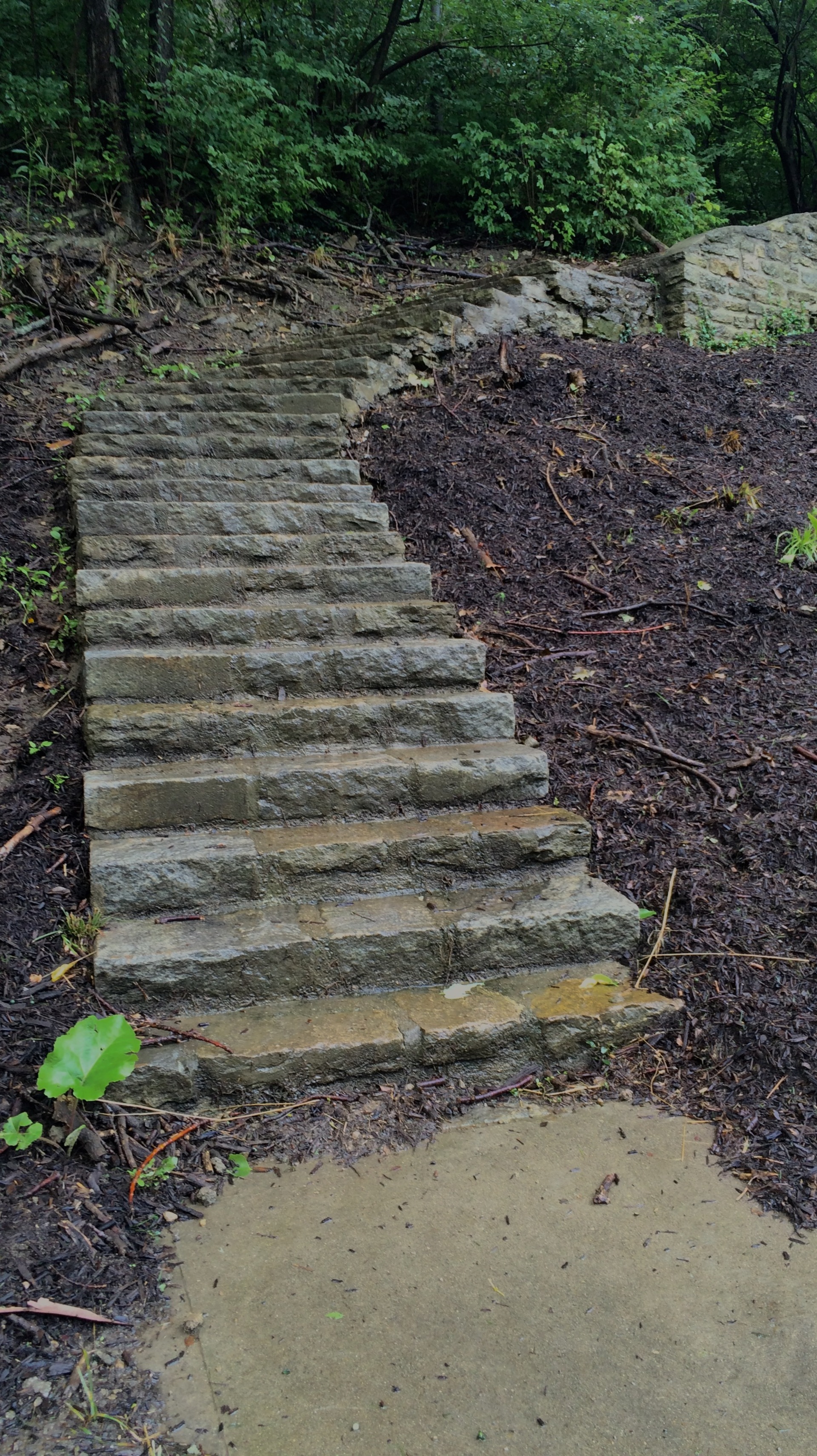 Foap.com: Nature's Stairway. Steps in Eden Park in Cincinnati. stock ...