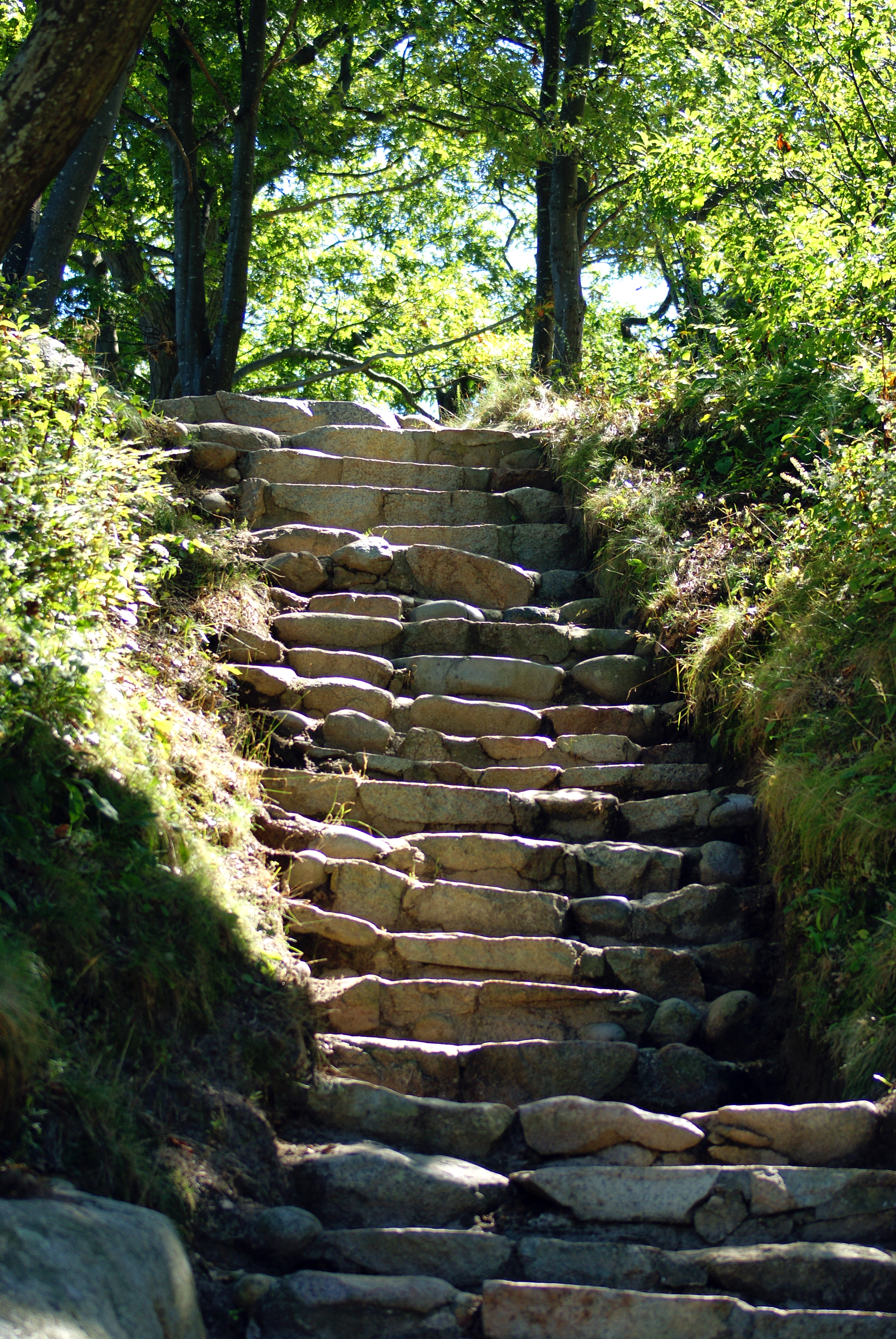 Natures Stairway, Architecture, Stairway, Rock, Rural, HQ Photo