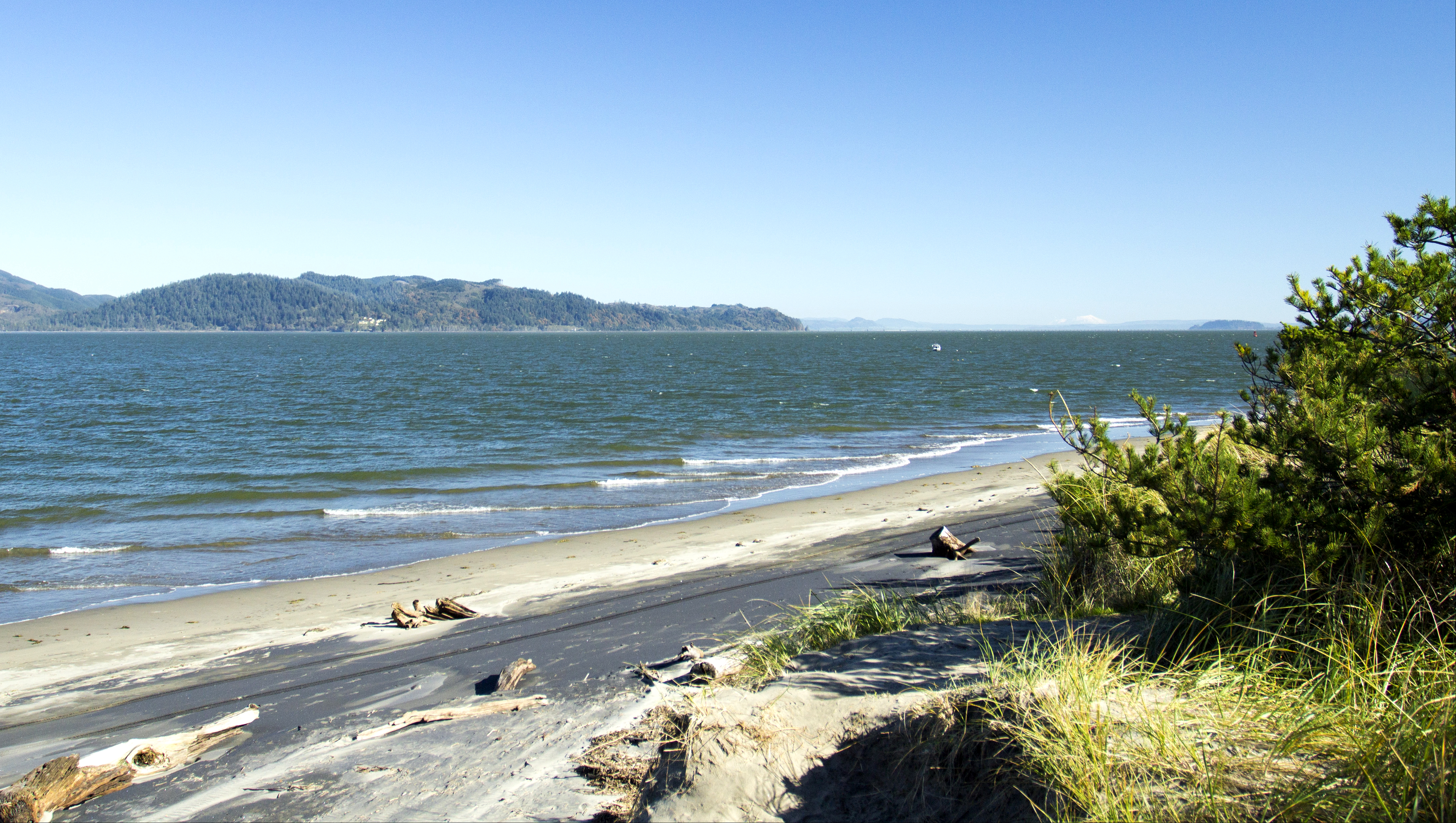 Near mouth of the columbia river looking east, oregon photo
