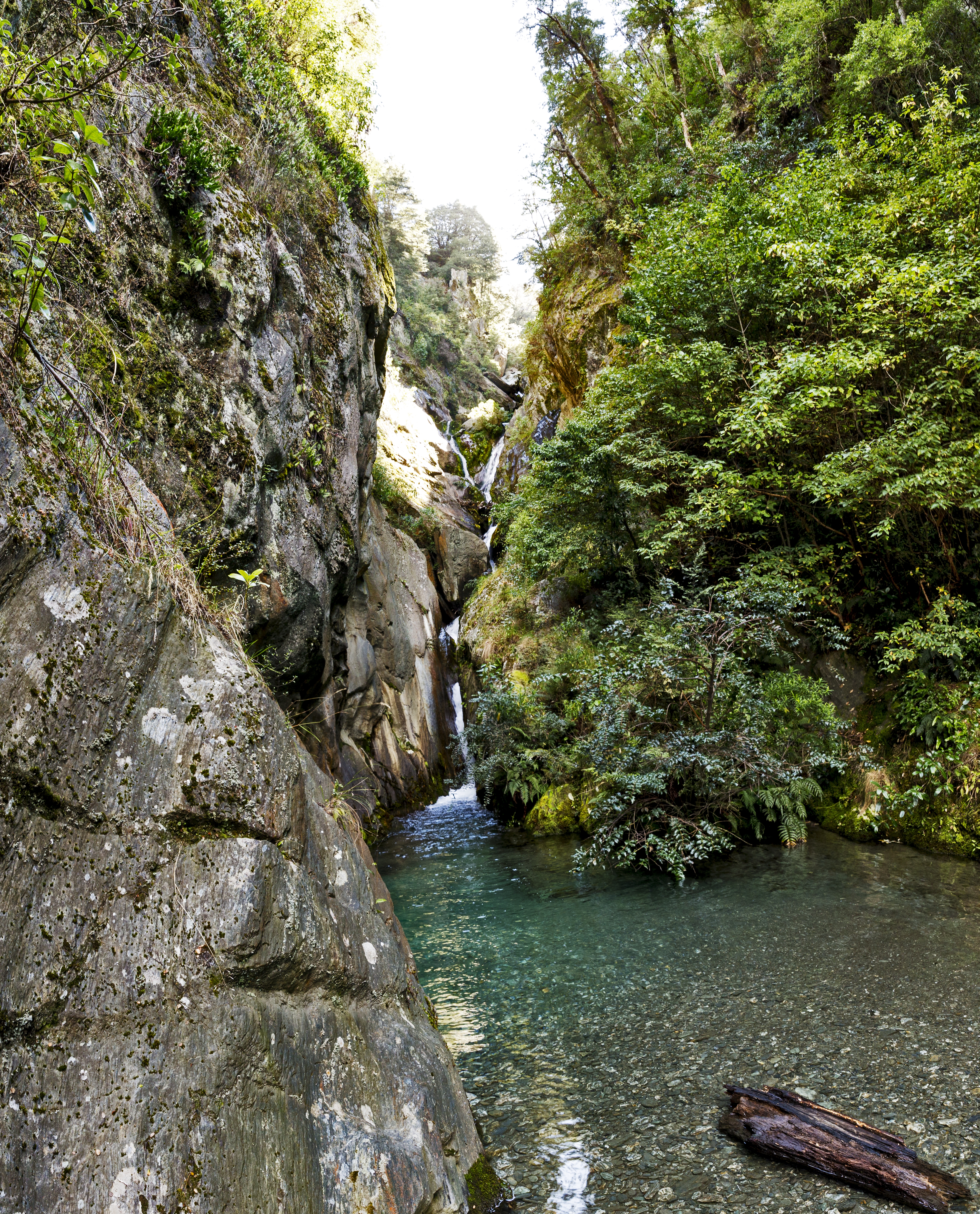 Neck creek waterfall photo