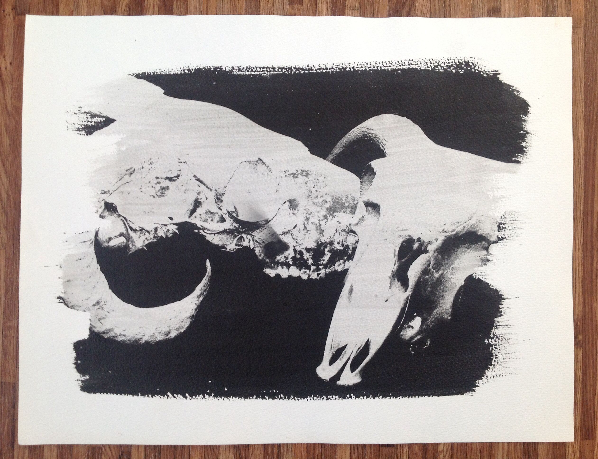 Acetate negative print of skulls onto watercolour paper using liquid ...