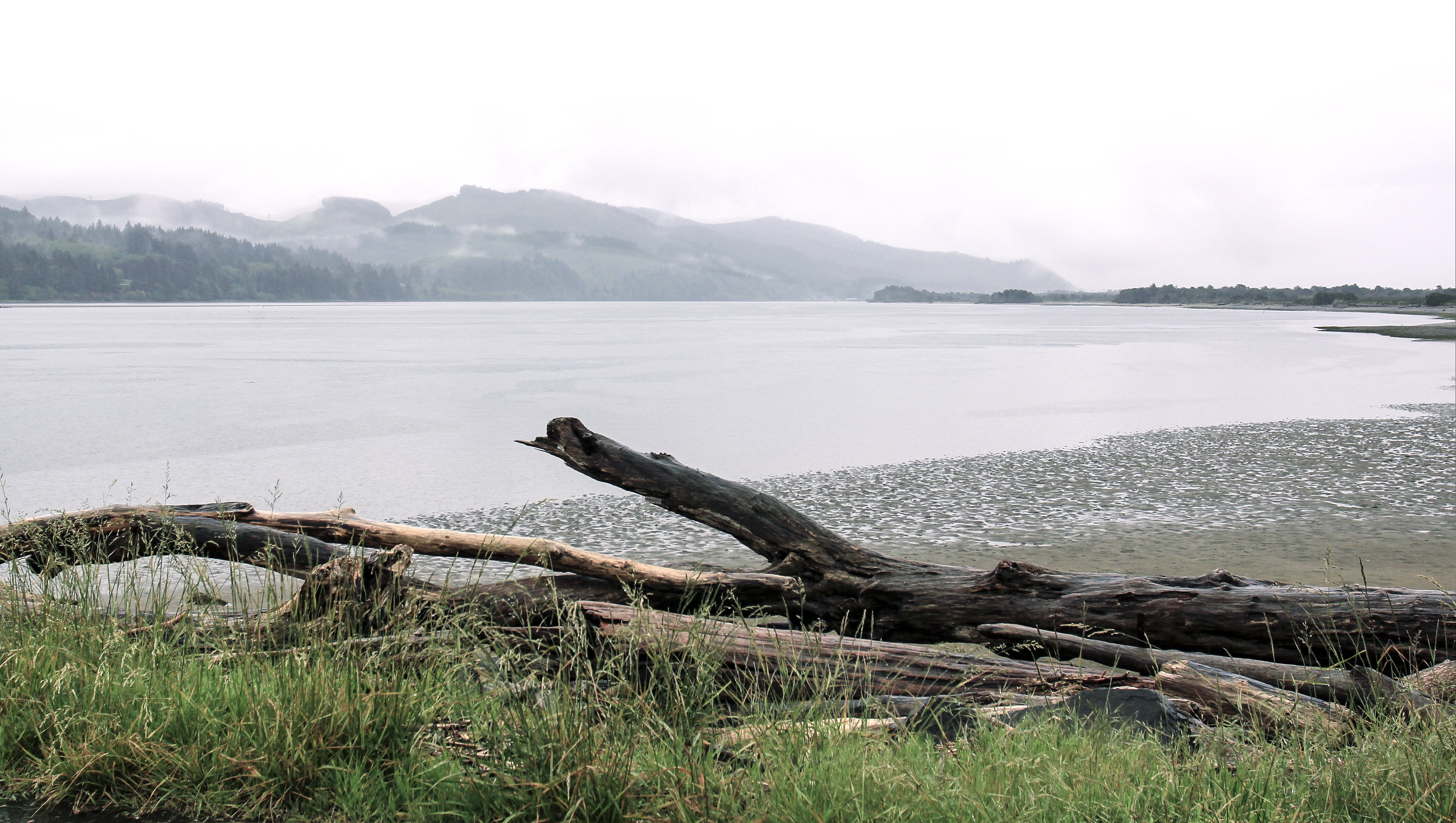 Nehalem Bay Oregon, Bay, Cloudy, Coast, Driftwood, HQ Photo