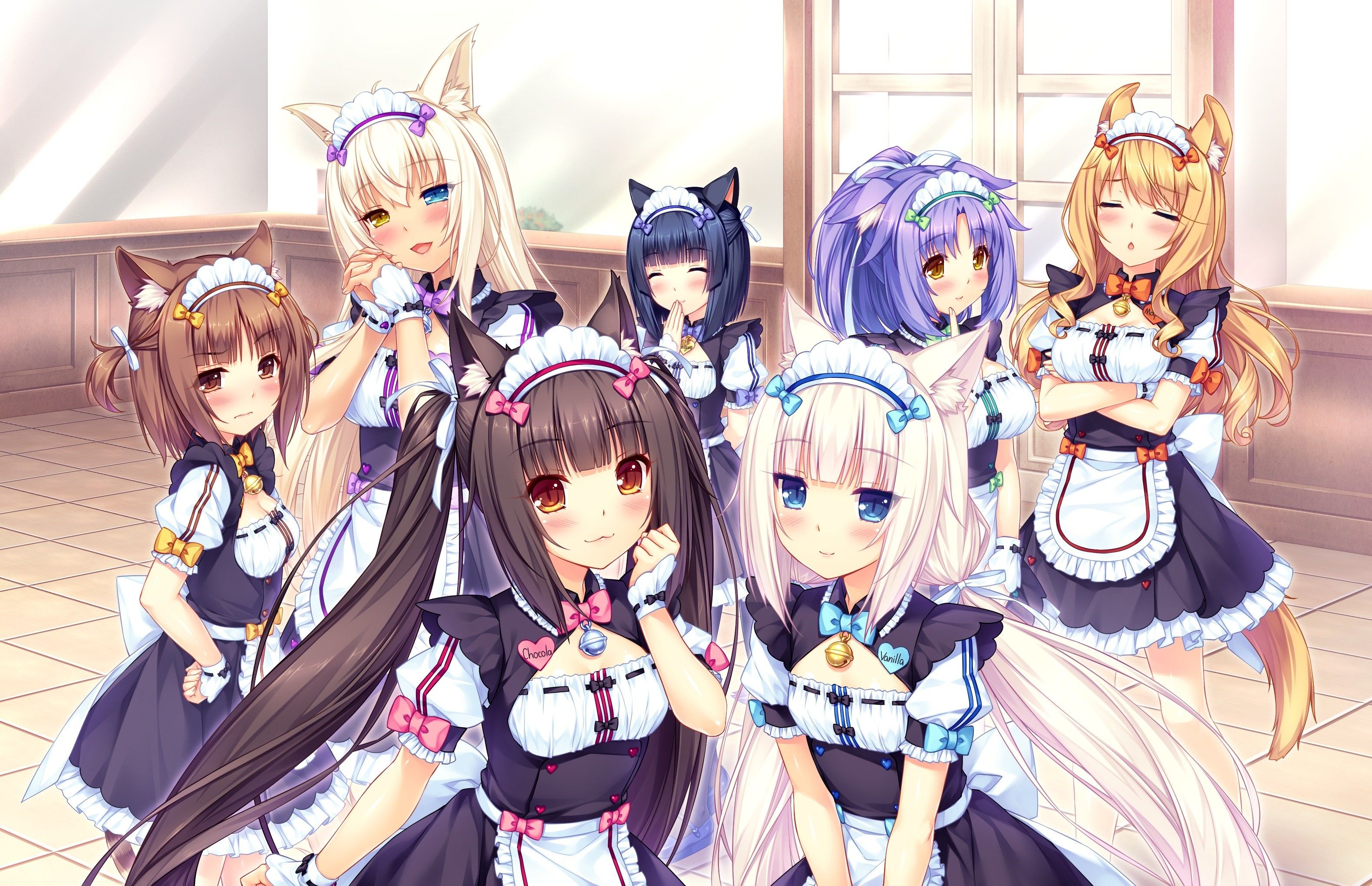 chicas neko | #cat girl, #anime, #anime girls, #Neko Para, #Azuki ...