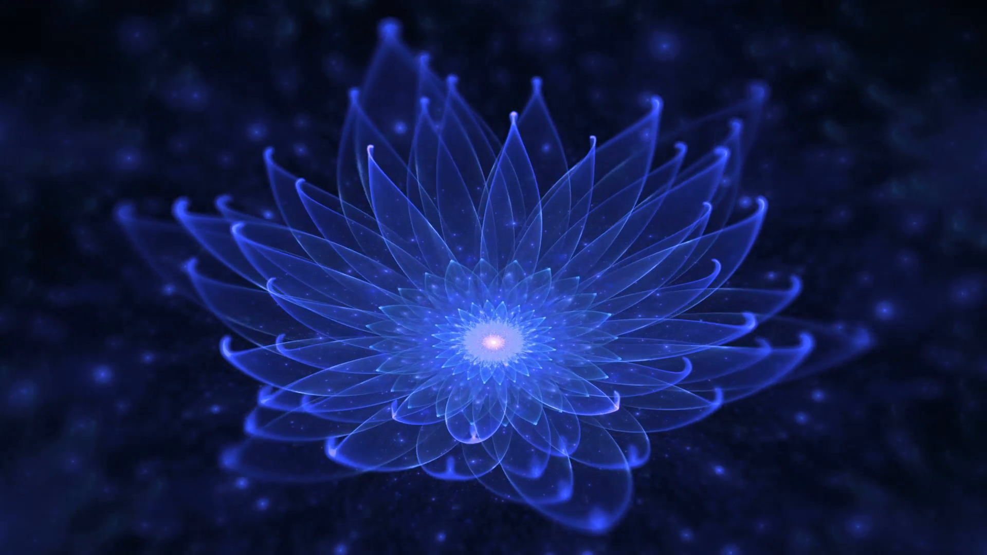 Glowing Blue Lotus, Water Lily, Enlightenment or Meditation, Magic ...