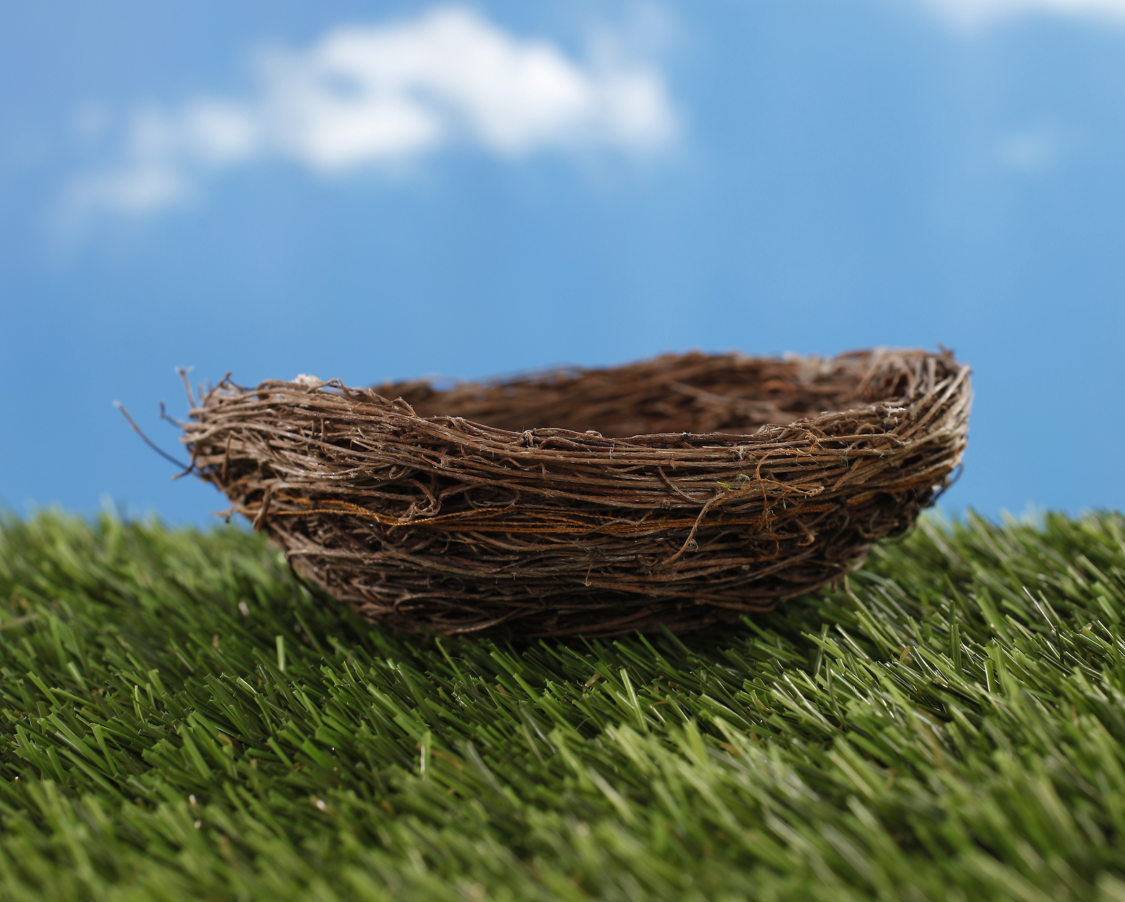 Don't Stray from the Nest | Emerging Conservative