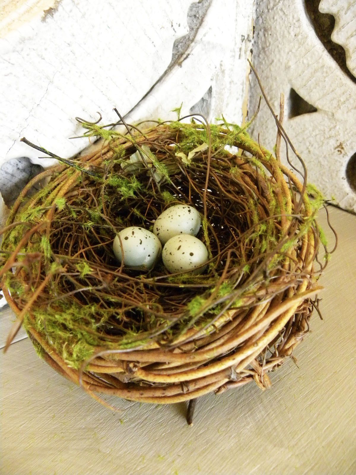 Natural nest embellished with moss and tiny blue eggs. Along with ...