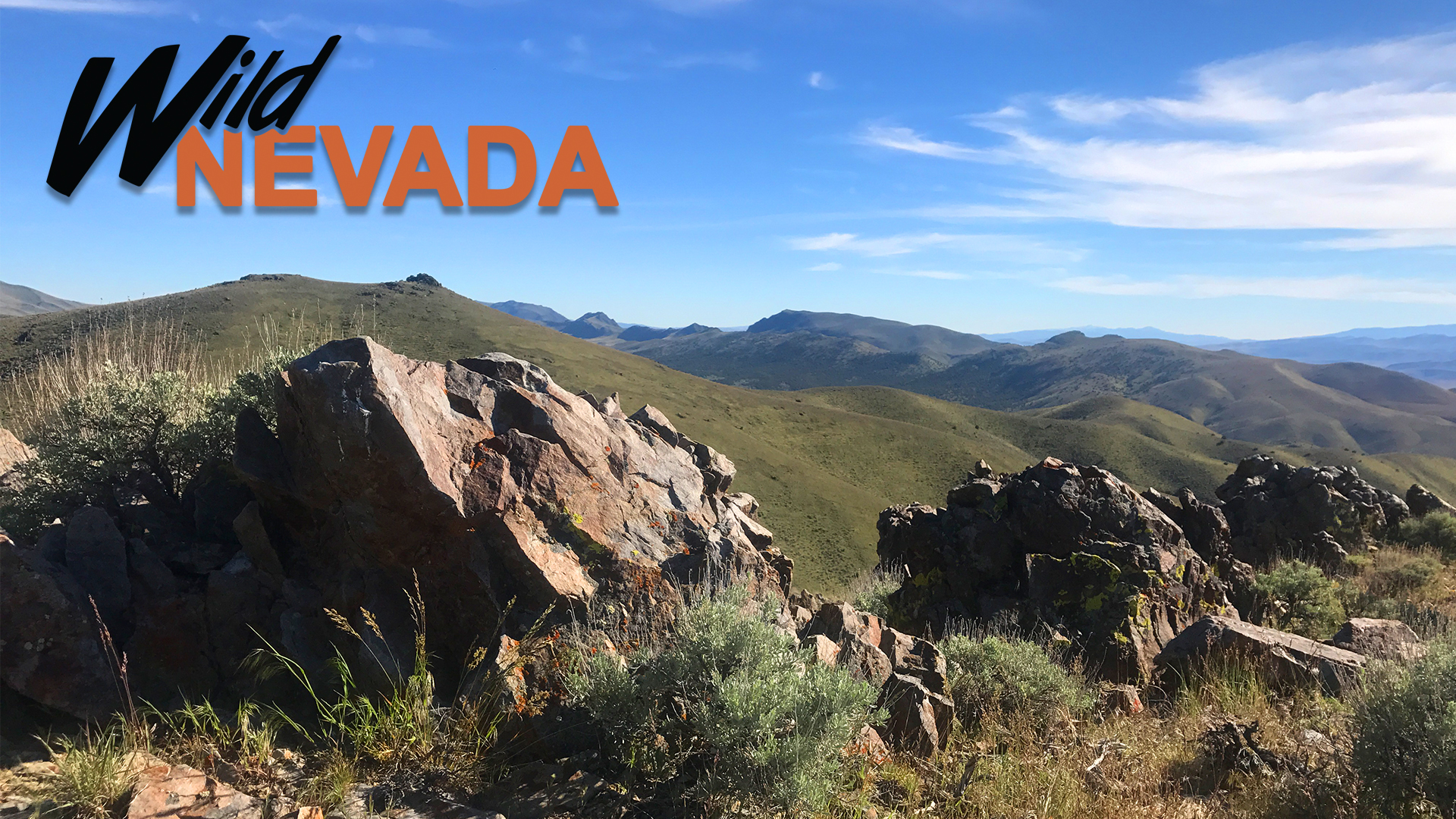 Wild Nevada | Local Shows | KNPB