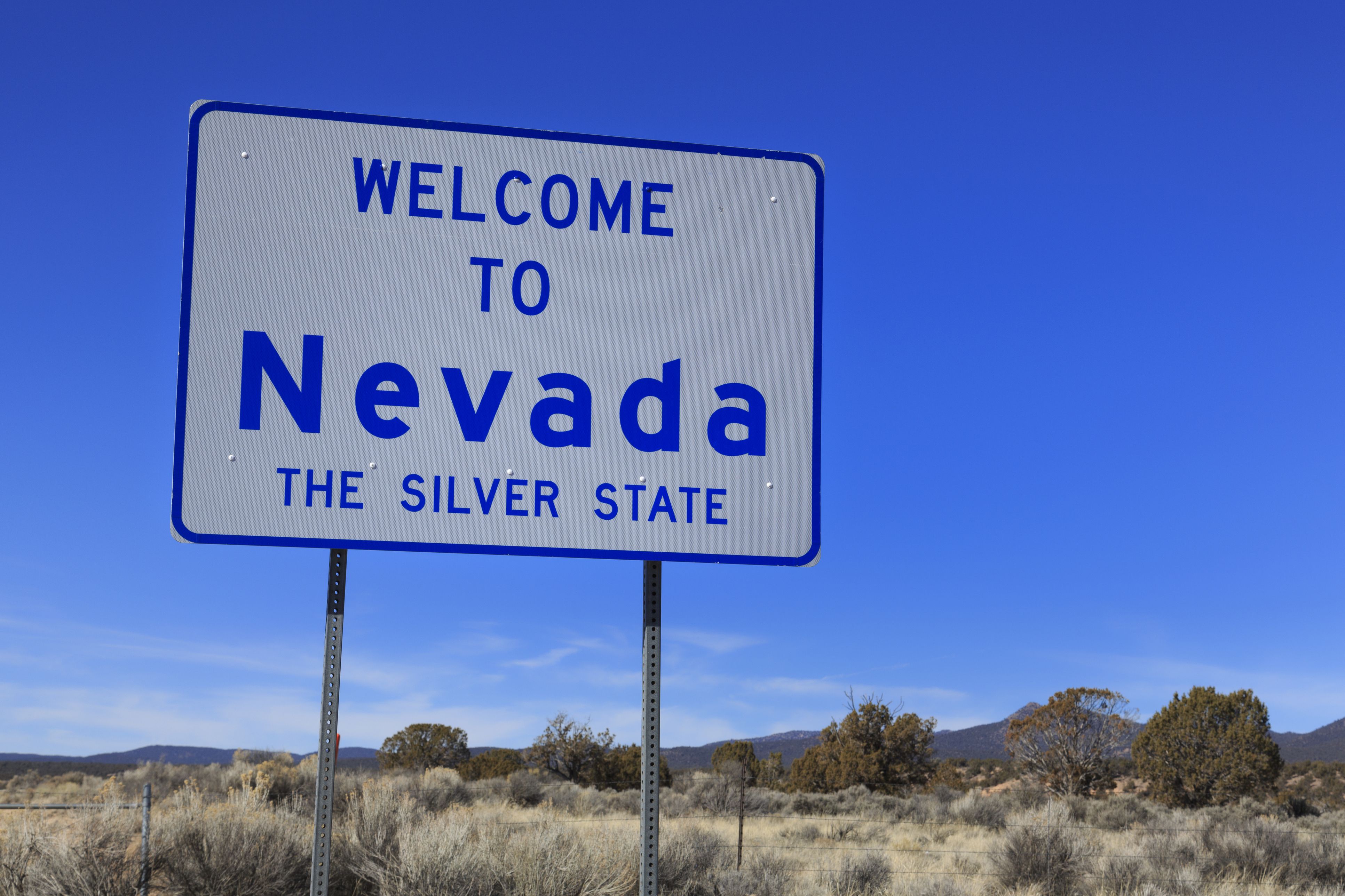 Forming a Nevada LLC