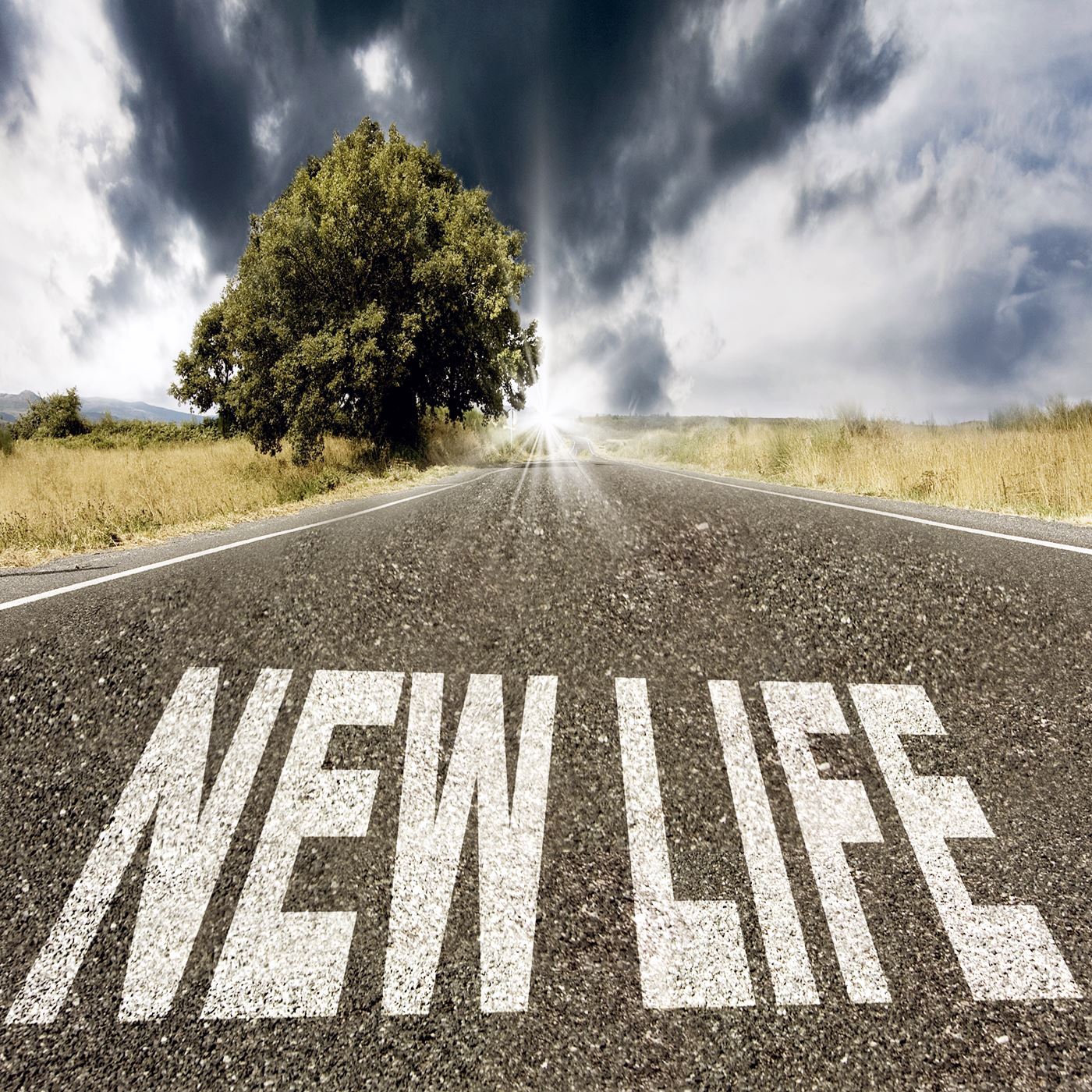5 Steps Toward Cultivating A New Life - Created by Rana - In ...