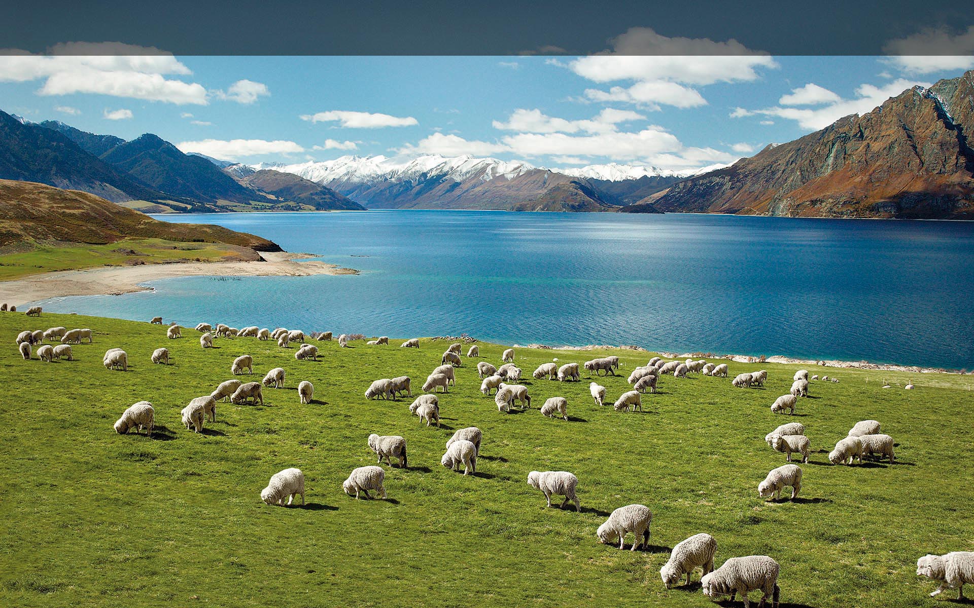 new Zealand is the best place to travel in spring - HAIYU Official ...