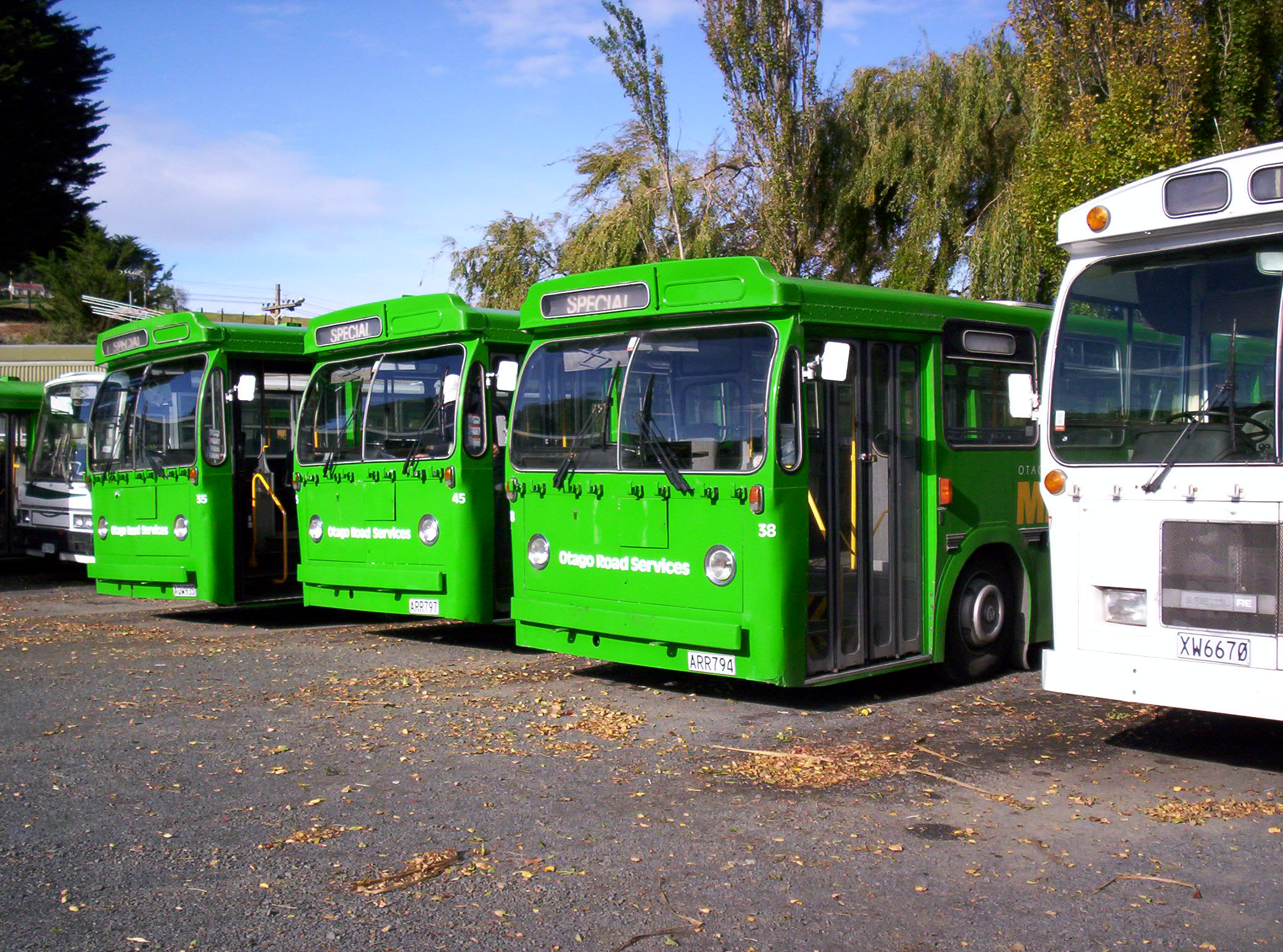 New Zealand is about green buses, Blue, Dunedin, Greenbuses, Greenisland, HQ Photo