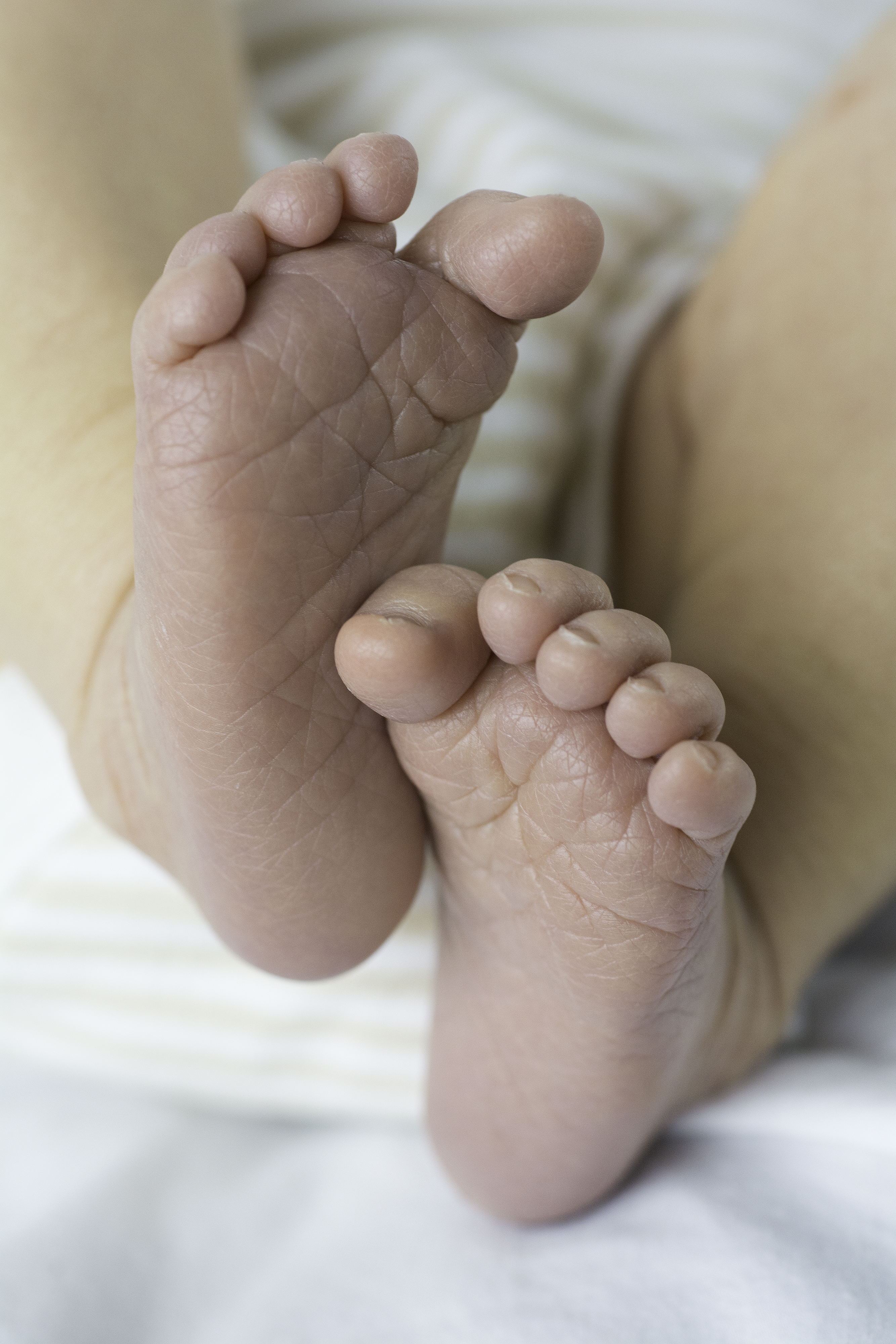 File:Newborn-Baby-Feet.jpg - Wikimedia Commons