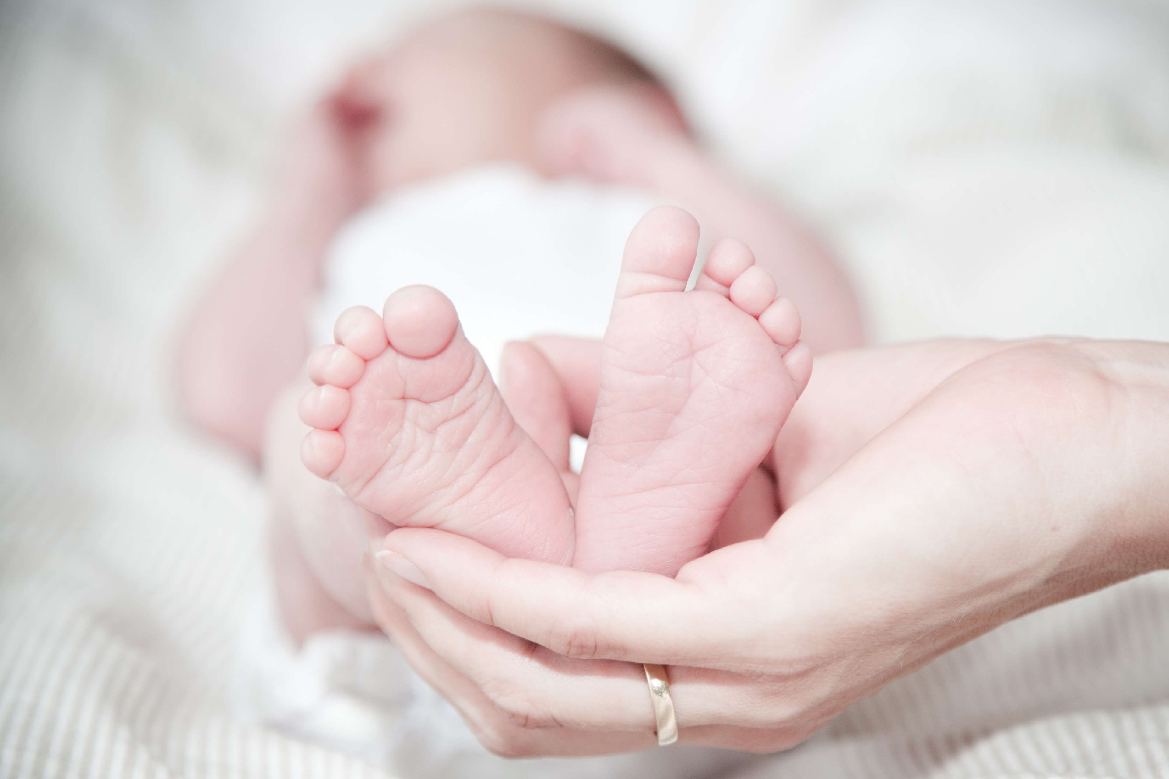 baby #baby feet #bed #birth #child #delicate #feet #hand #indoors ...