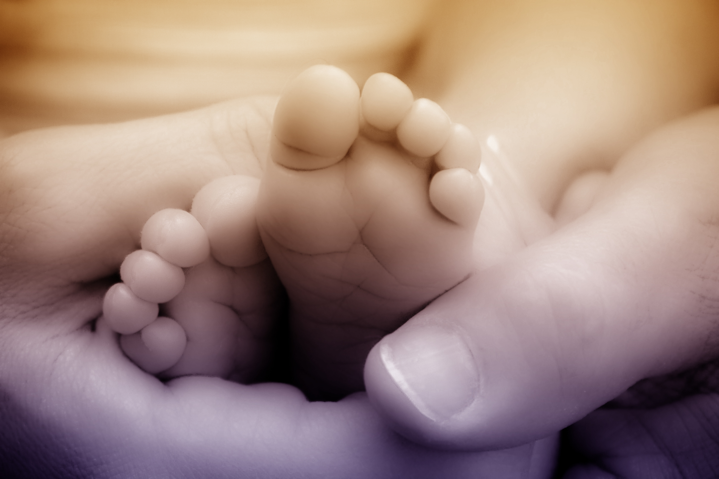 Newborn baby feet in mothers hands photo