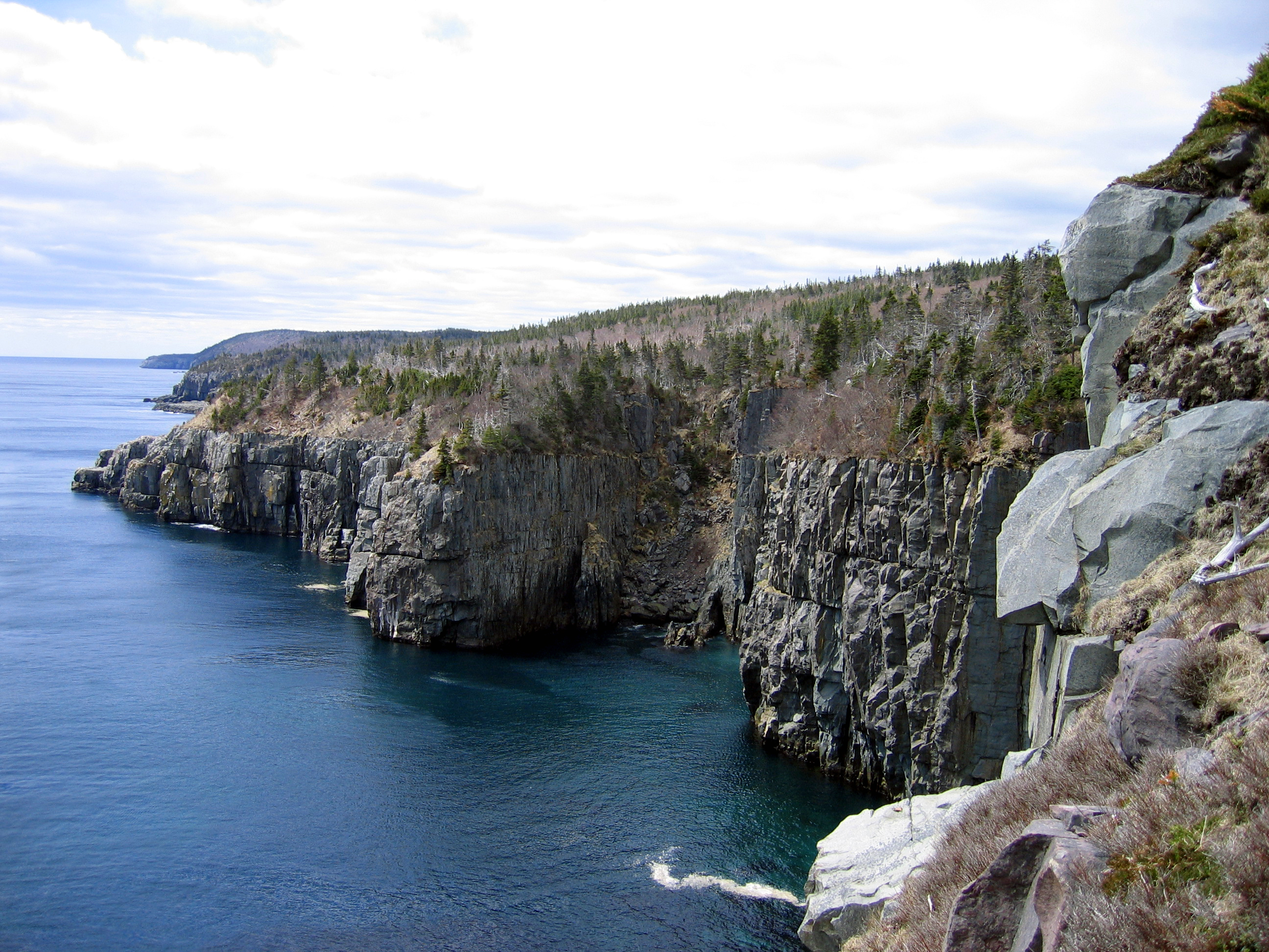 Newfoundland coastline photo
