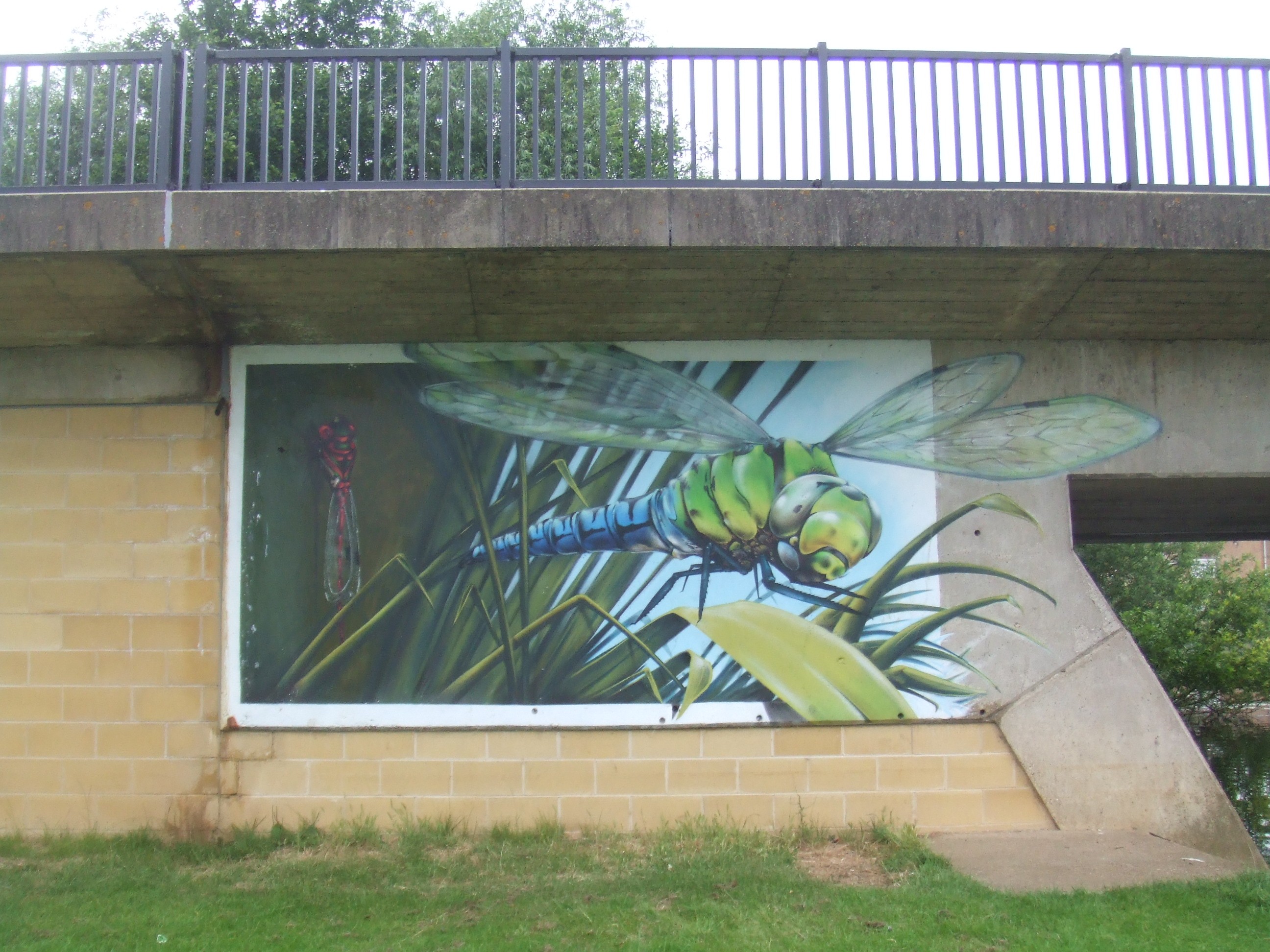 Dragonfly mural on St Neots Town Bridge- newly painted - July 2nd ...