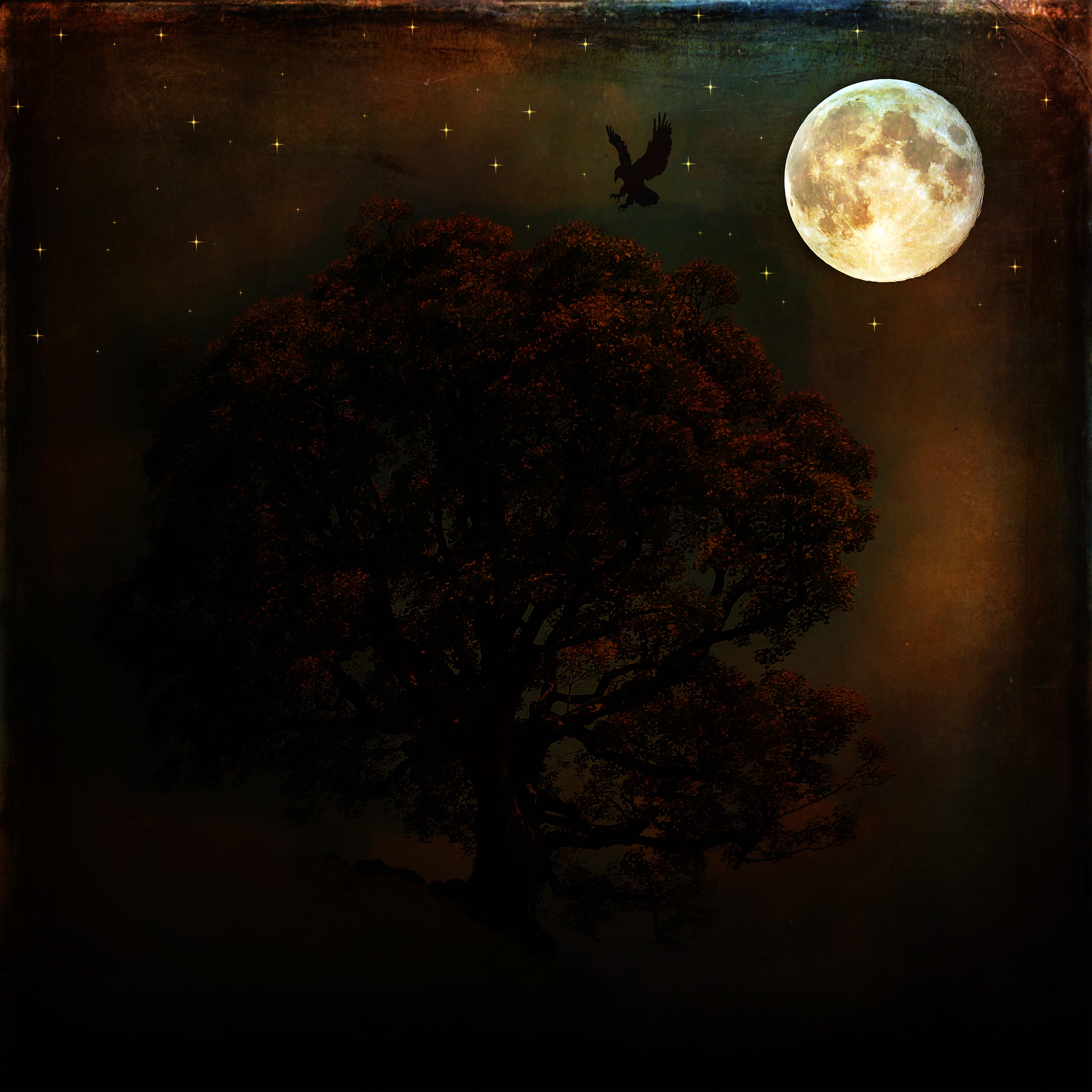 Луна сквозь деревья. Таинственная ночь. Дерево ночью. Полнолуние мистика. Коричневая ночь.