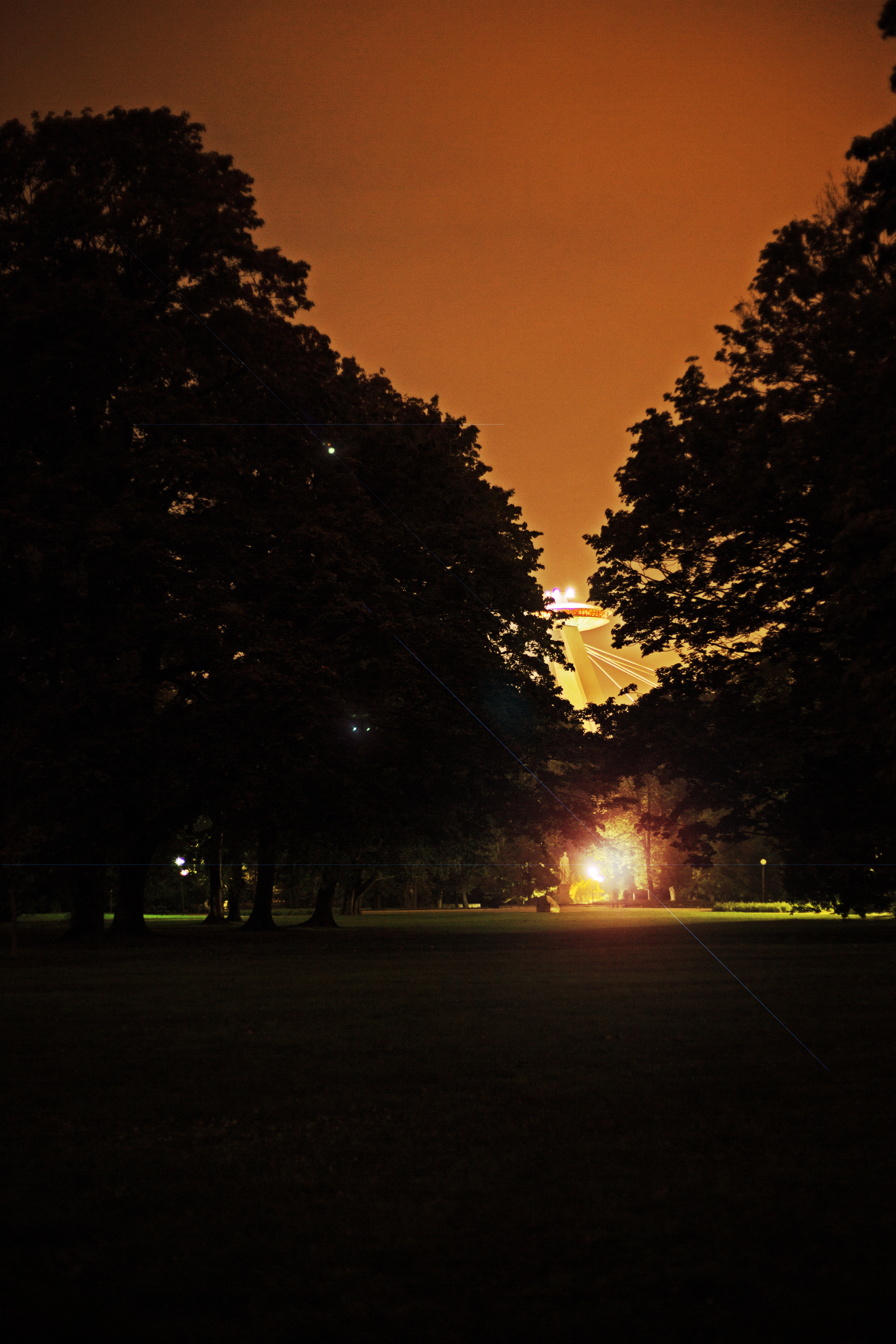 Night in the park photo
