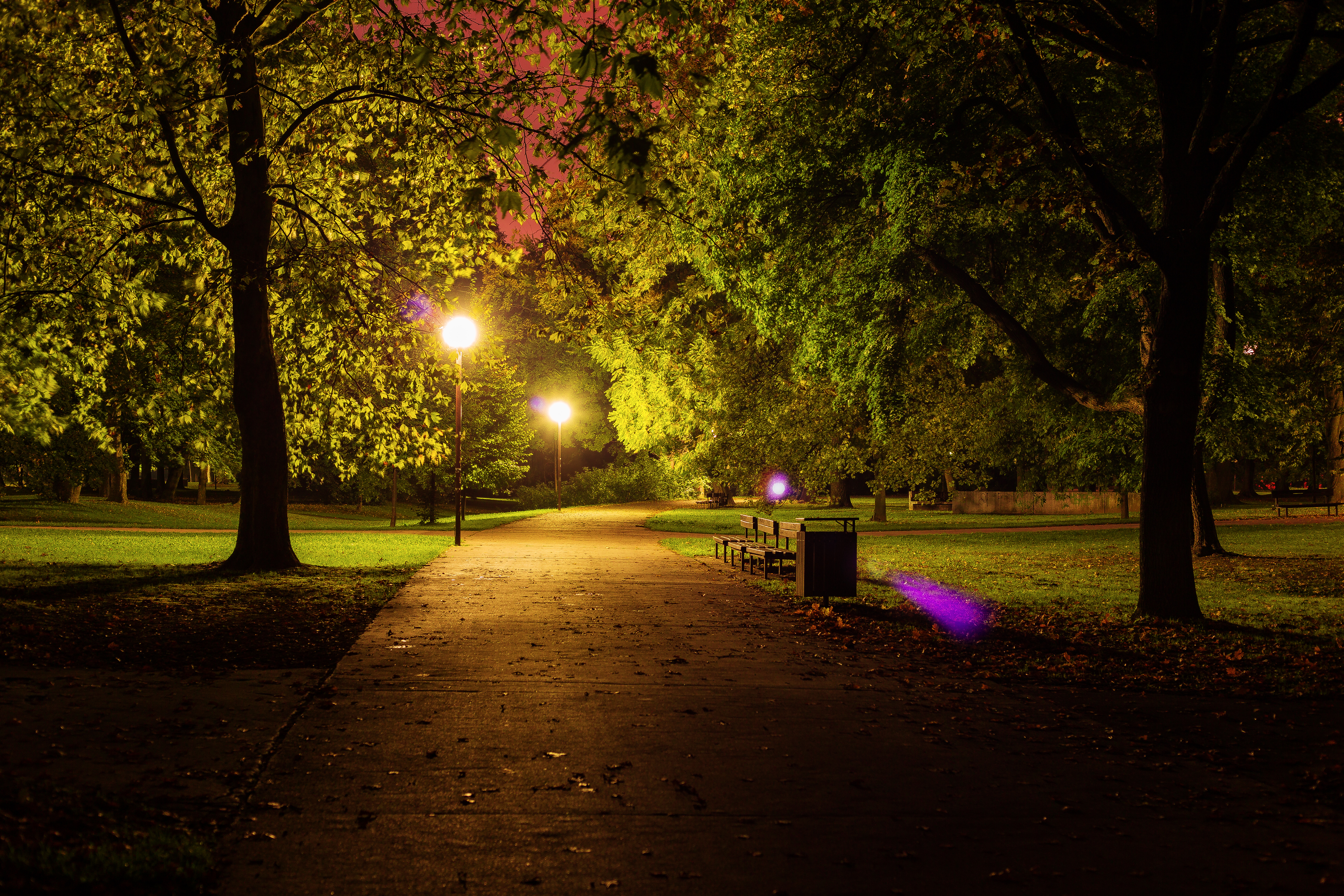 Night in the park photo