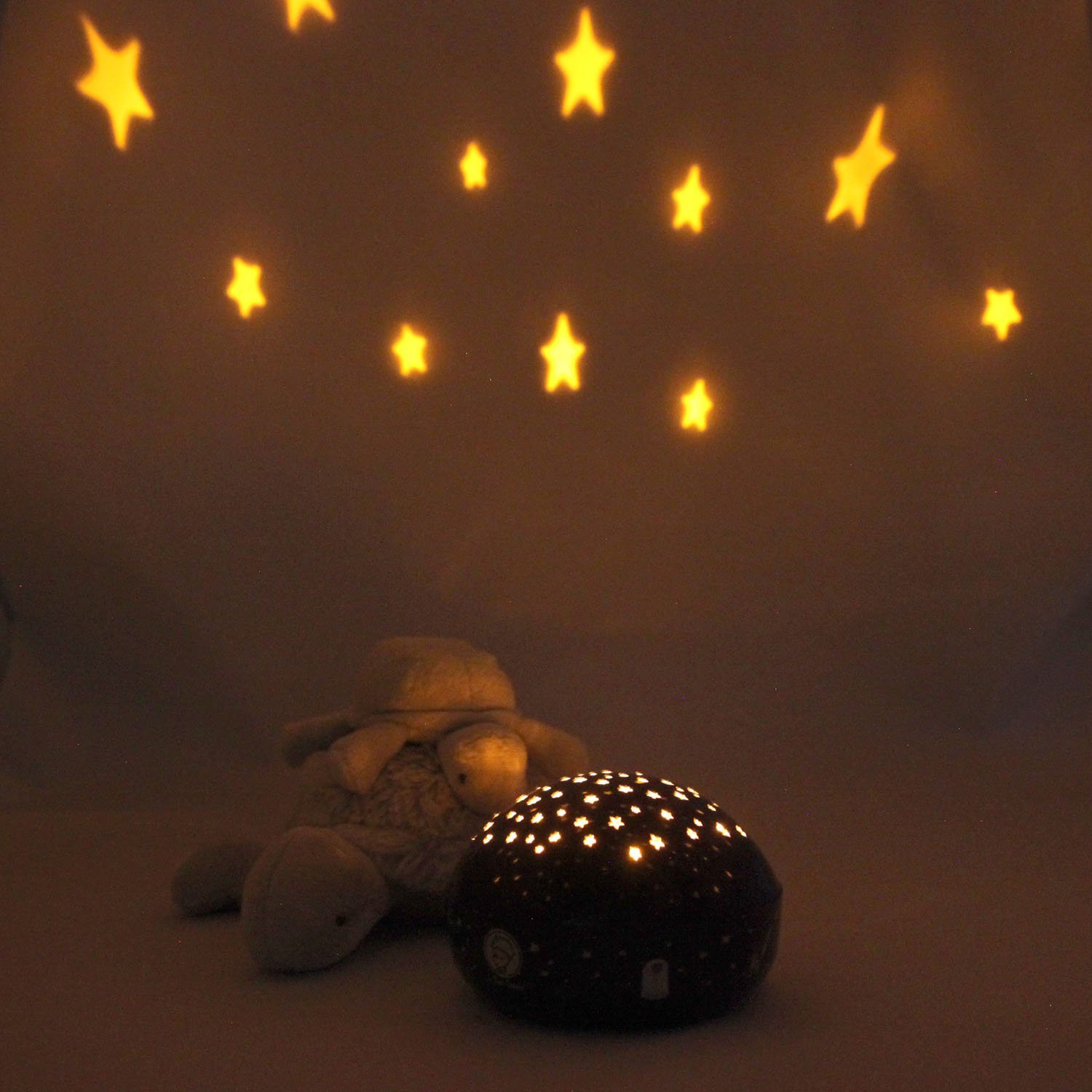 Amazon.com: Niermann Standby Night Light with LED, The Little Prince ...