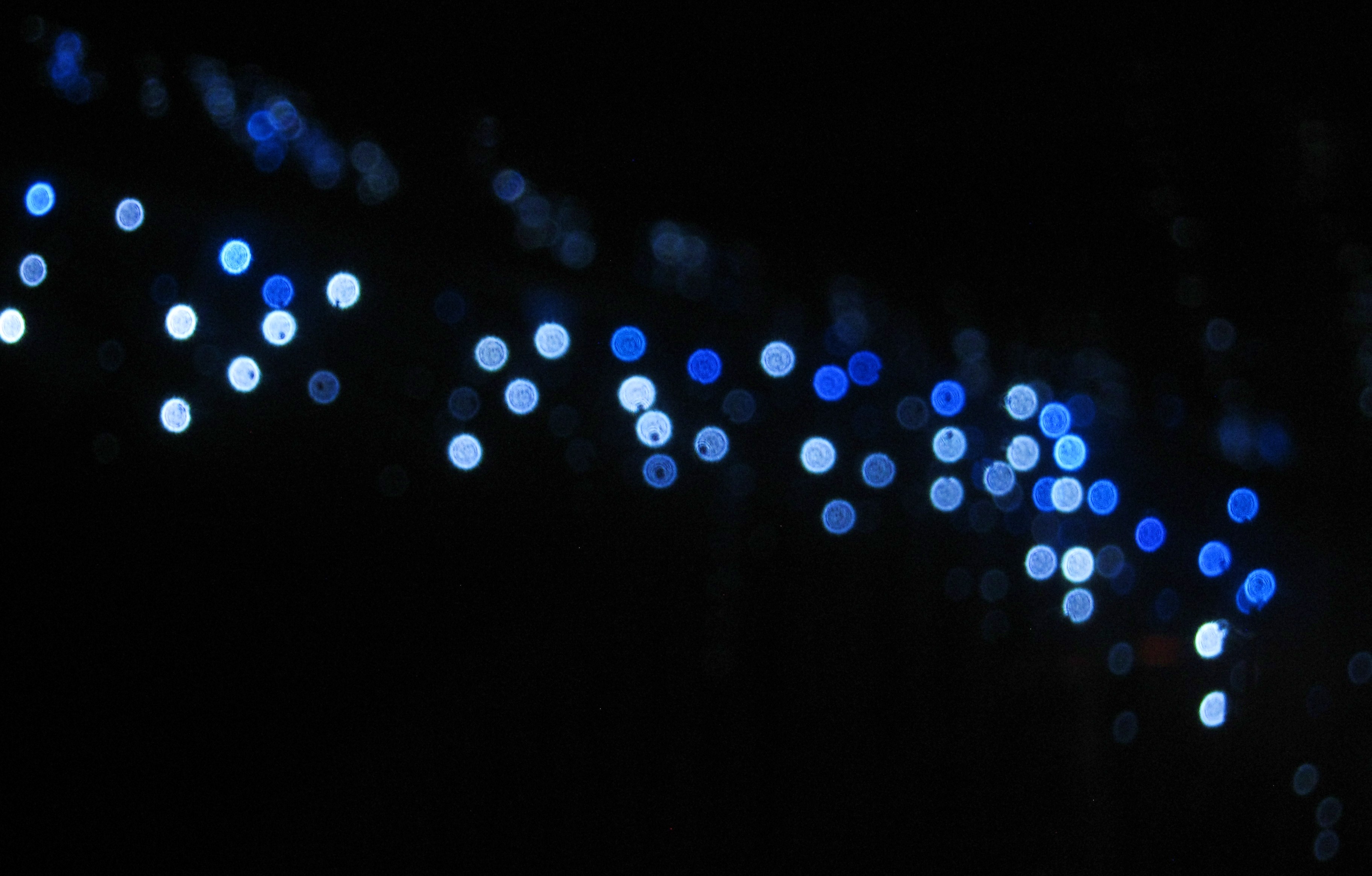 night lights by BlueEire on DeviantArt