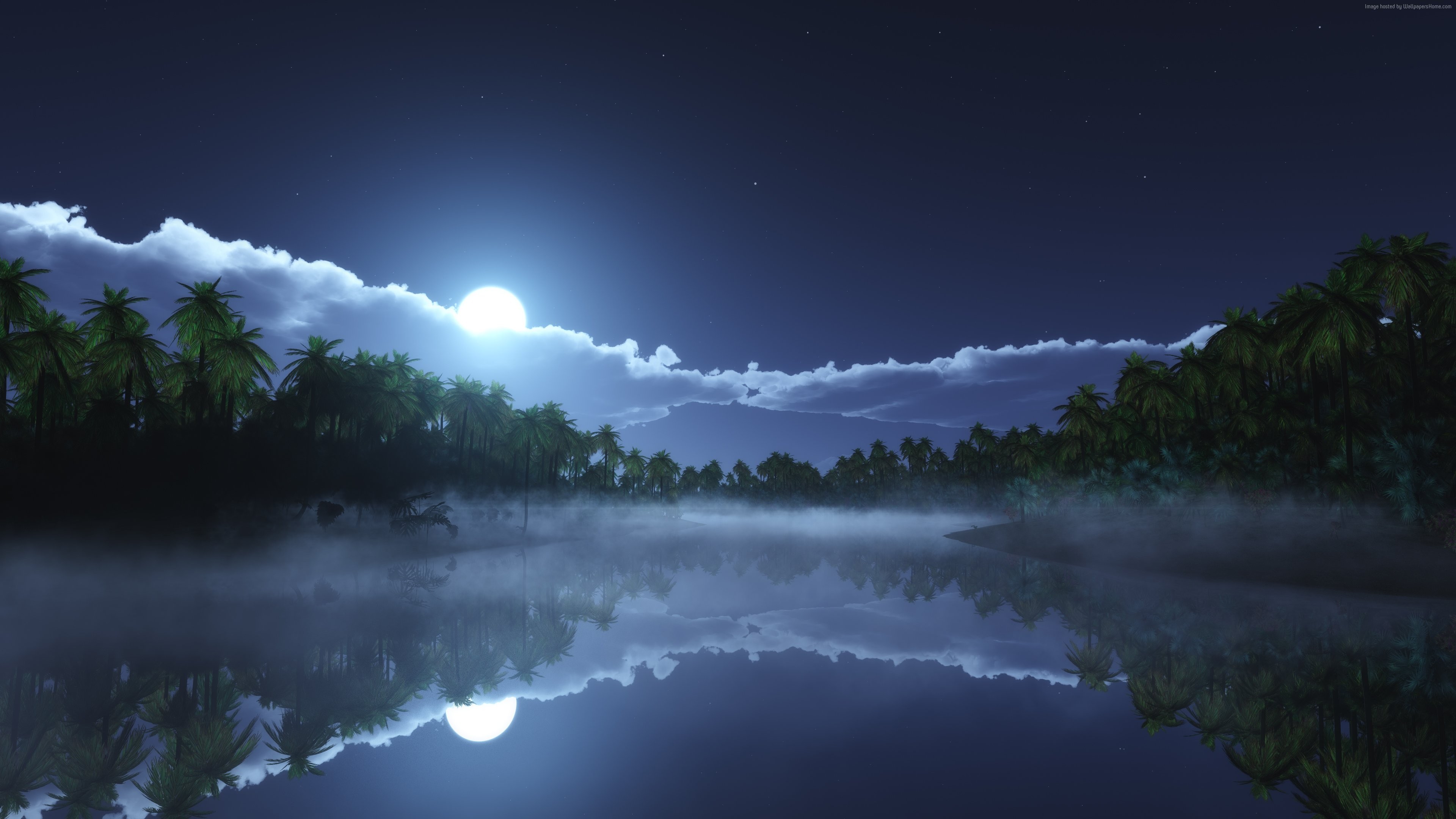 Wallpaper River, 4k, HD wallpaper, sea, palms, night, moon, clouds ...