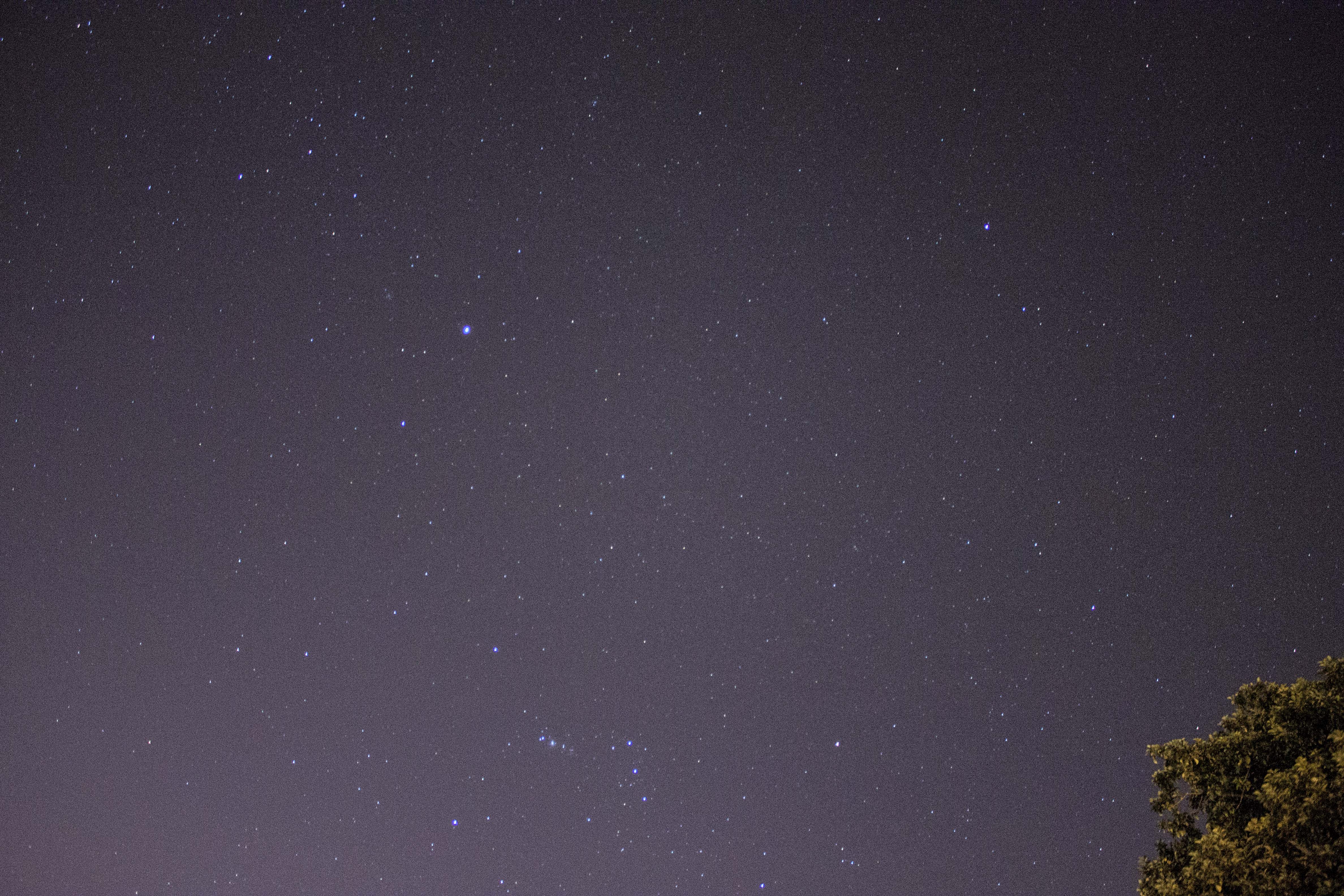 Night sky with stars photo