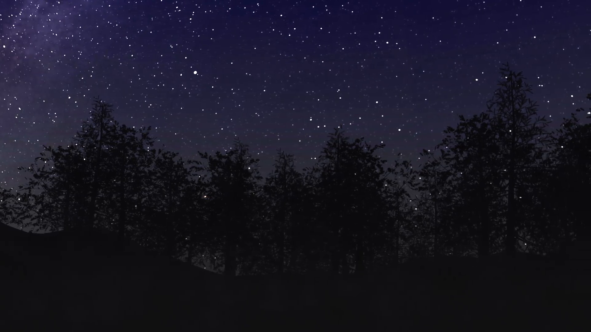 Night sky, wind blowing through trees Motion Background - Videoblocks