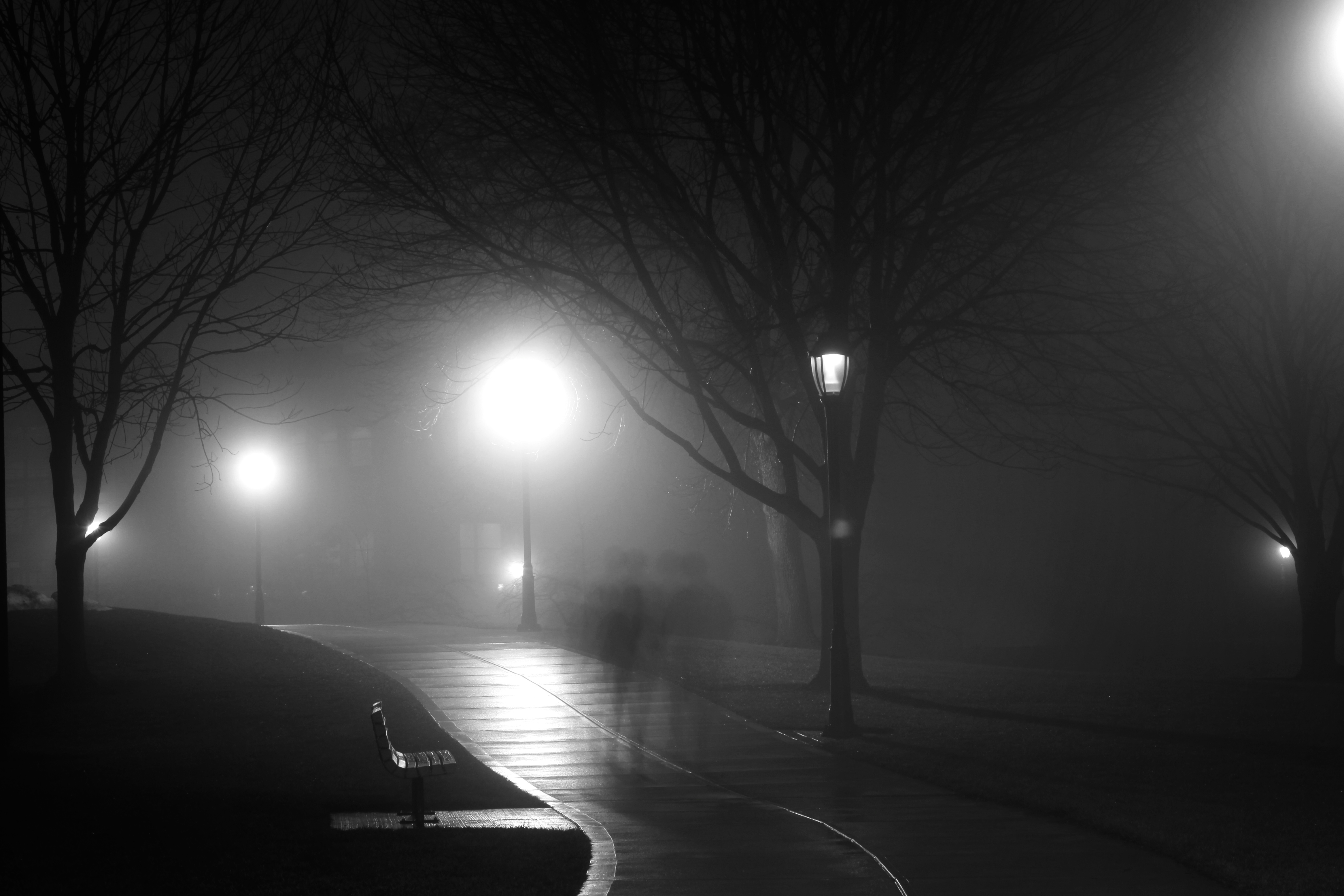 Nighttime in a Park, Blackandwhite, Dark, Enigmatic, Lamppost, HQ Photo