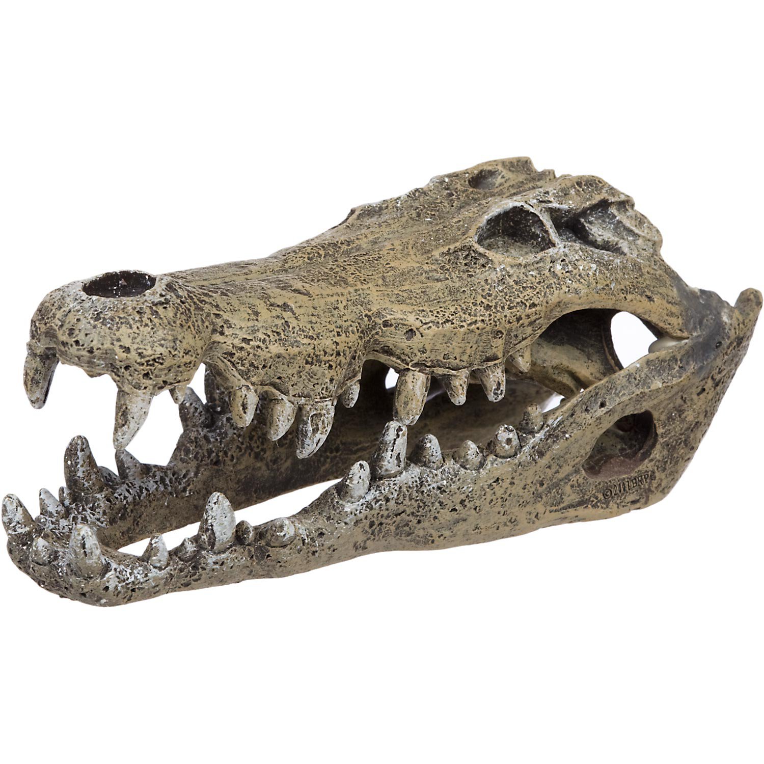 Blue Ribbon Nile Crocodile Skull Aquarium Ornament | Petco